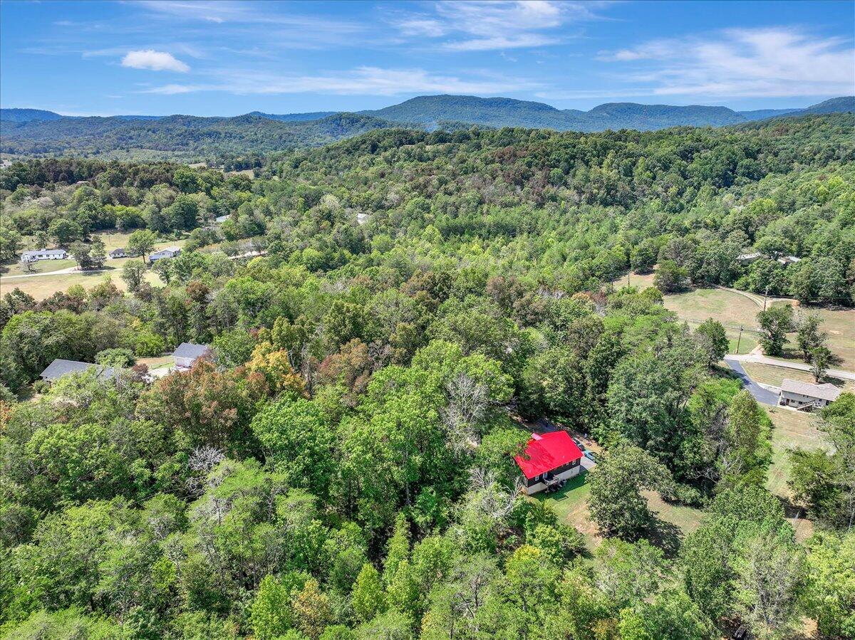 294 Wawona Drive, Wildwood, Georgia image 28