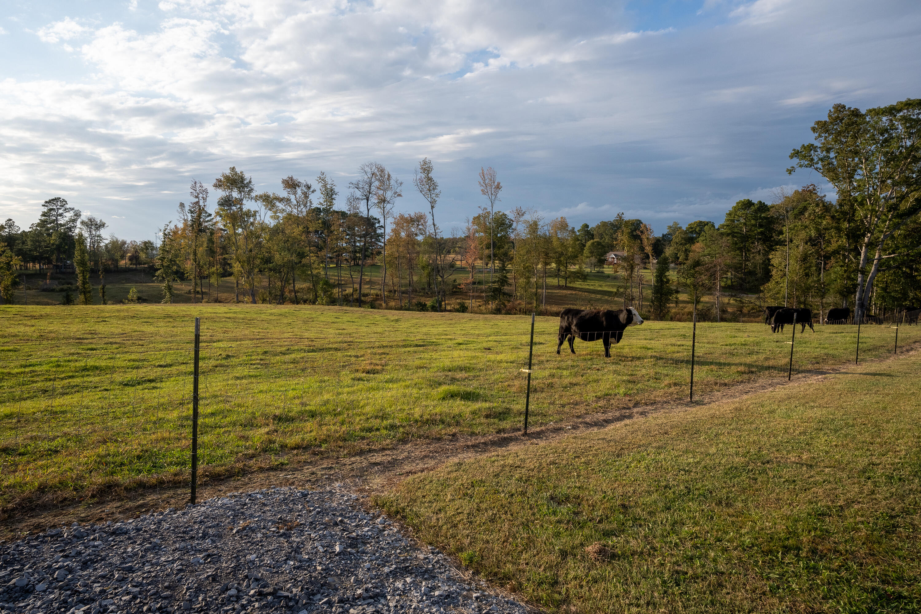 291 Lacy Road, Henagar, Alabama image 8