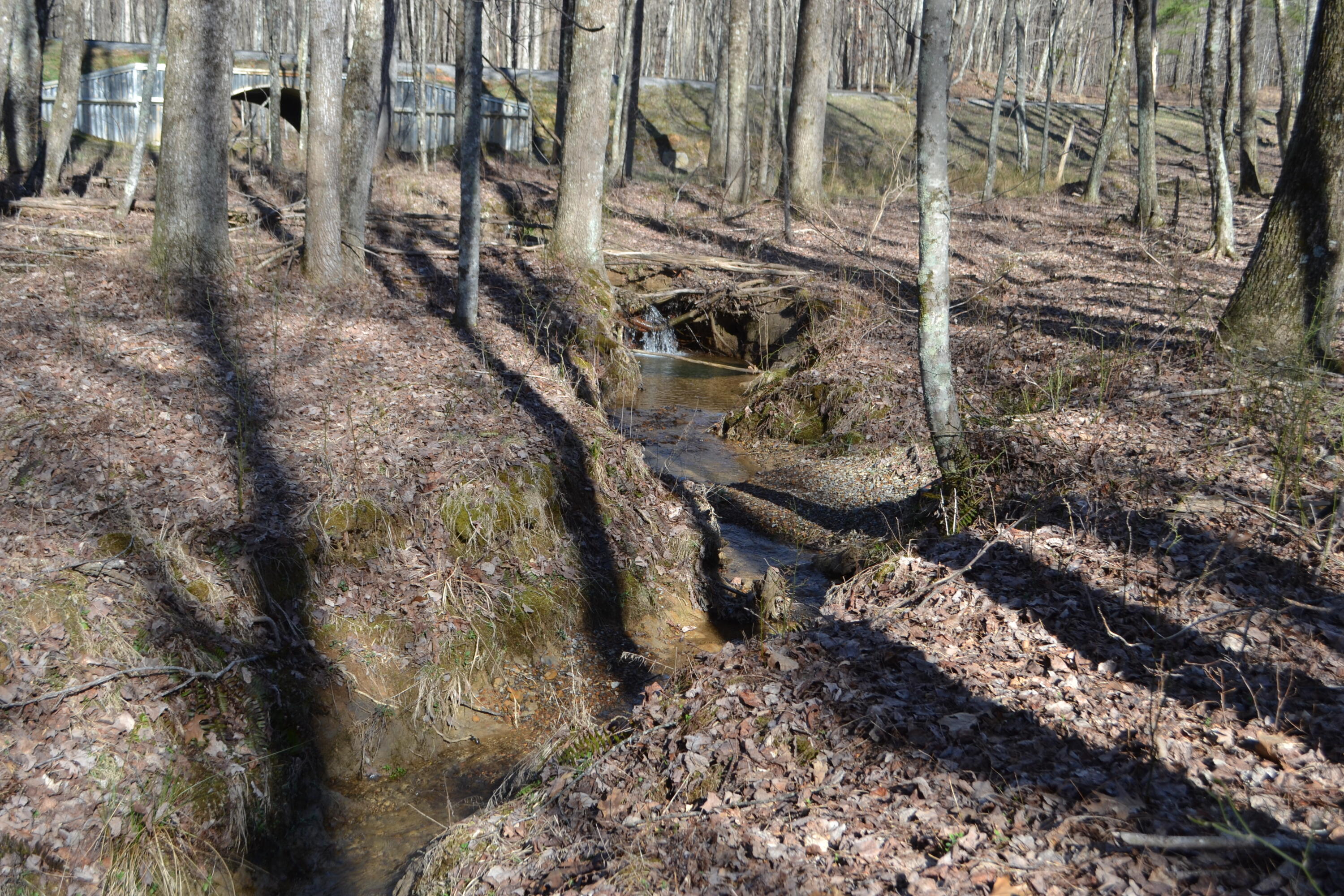 Chipmunk Court #LOT254, Jasper, Tennessee image 9