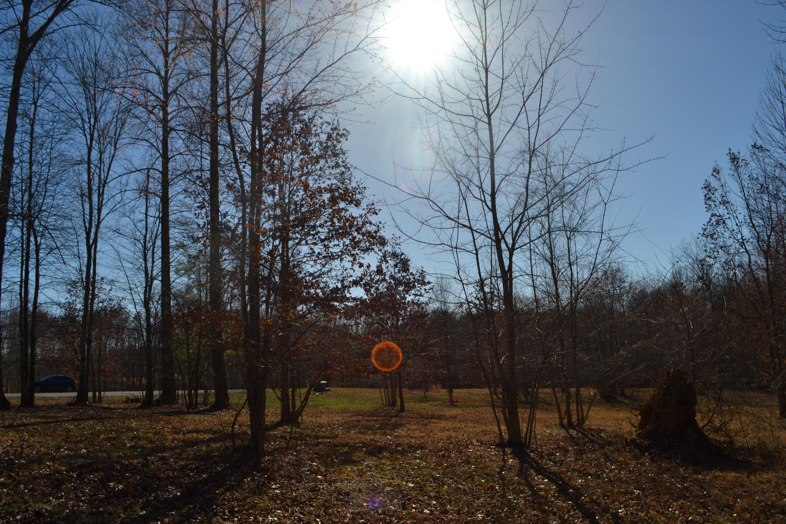 Chipmunk Court #LOT254, Jasper, Tennessee image 5