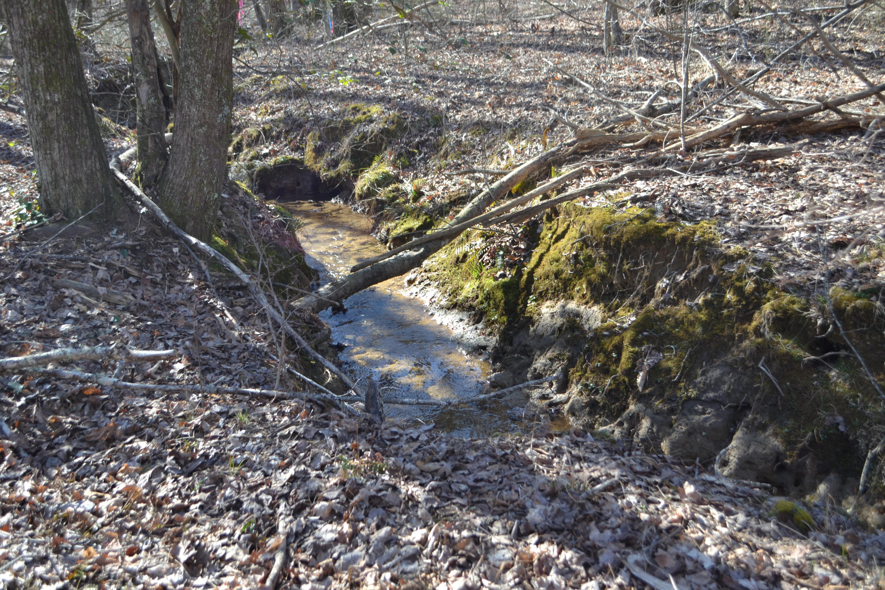 Chipmunk Court #LOT254, Jasper, Tennessee image 7