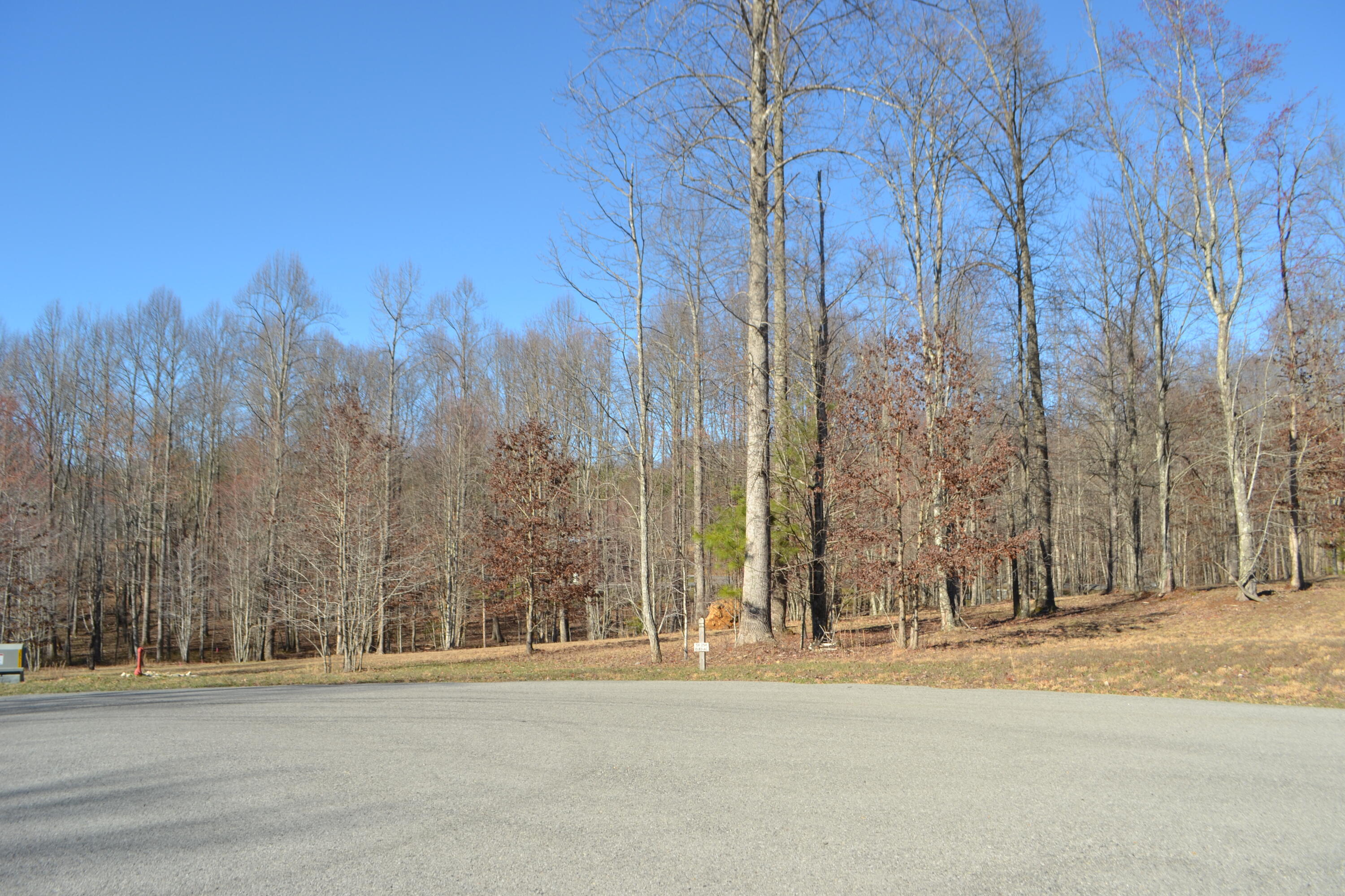 Chipmunk Court #LOT254, Jasper, Tennessee image 12