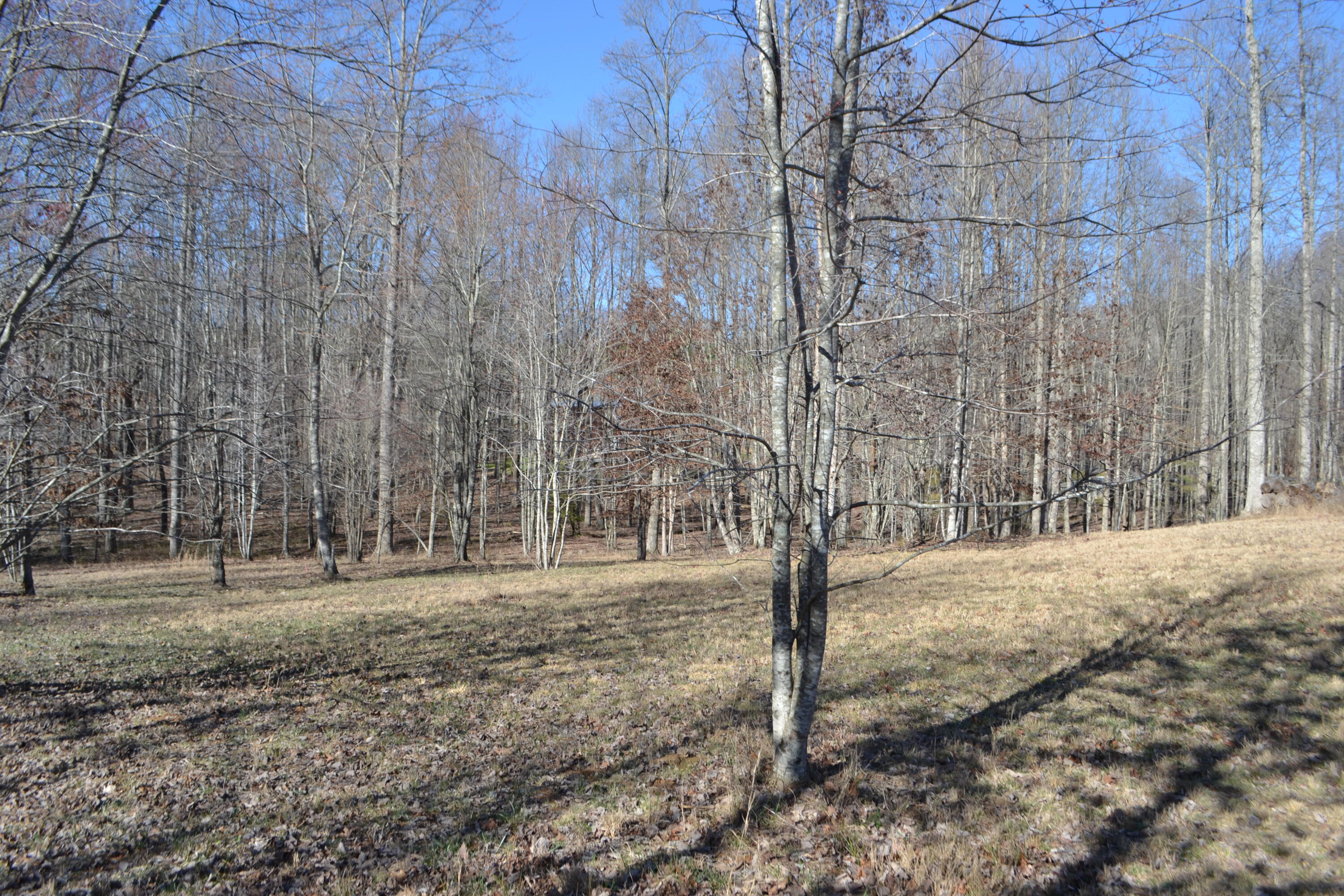 Chipmunk Court #LOT254, Jasper, Tennessee image 11