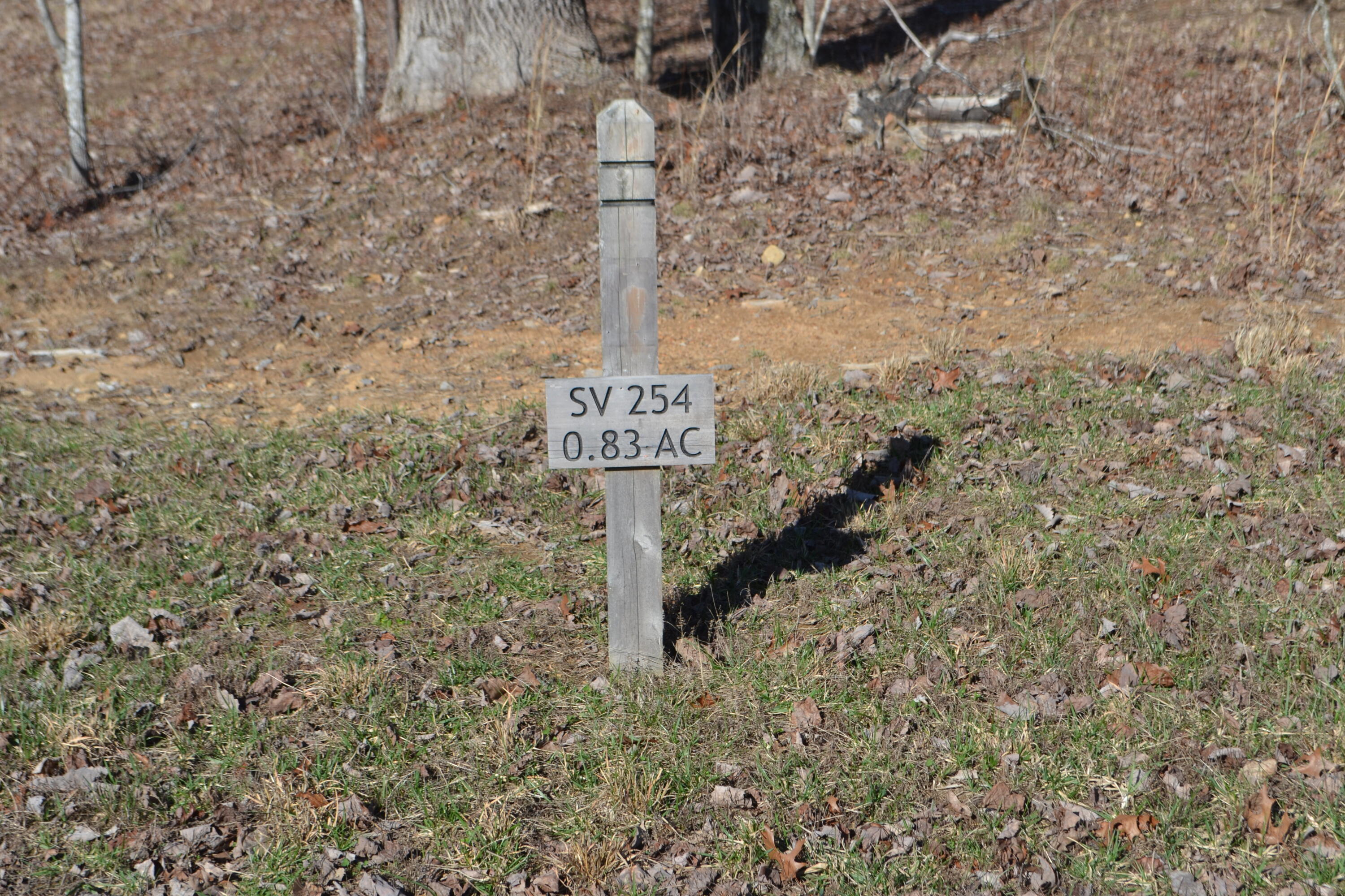 Chipmunk Court #LOT254, Jasper, Tennessee image 4