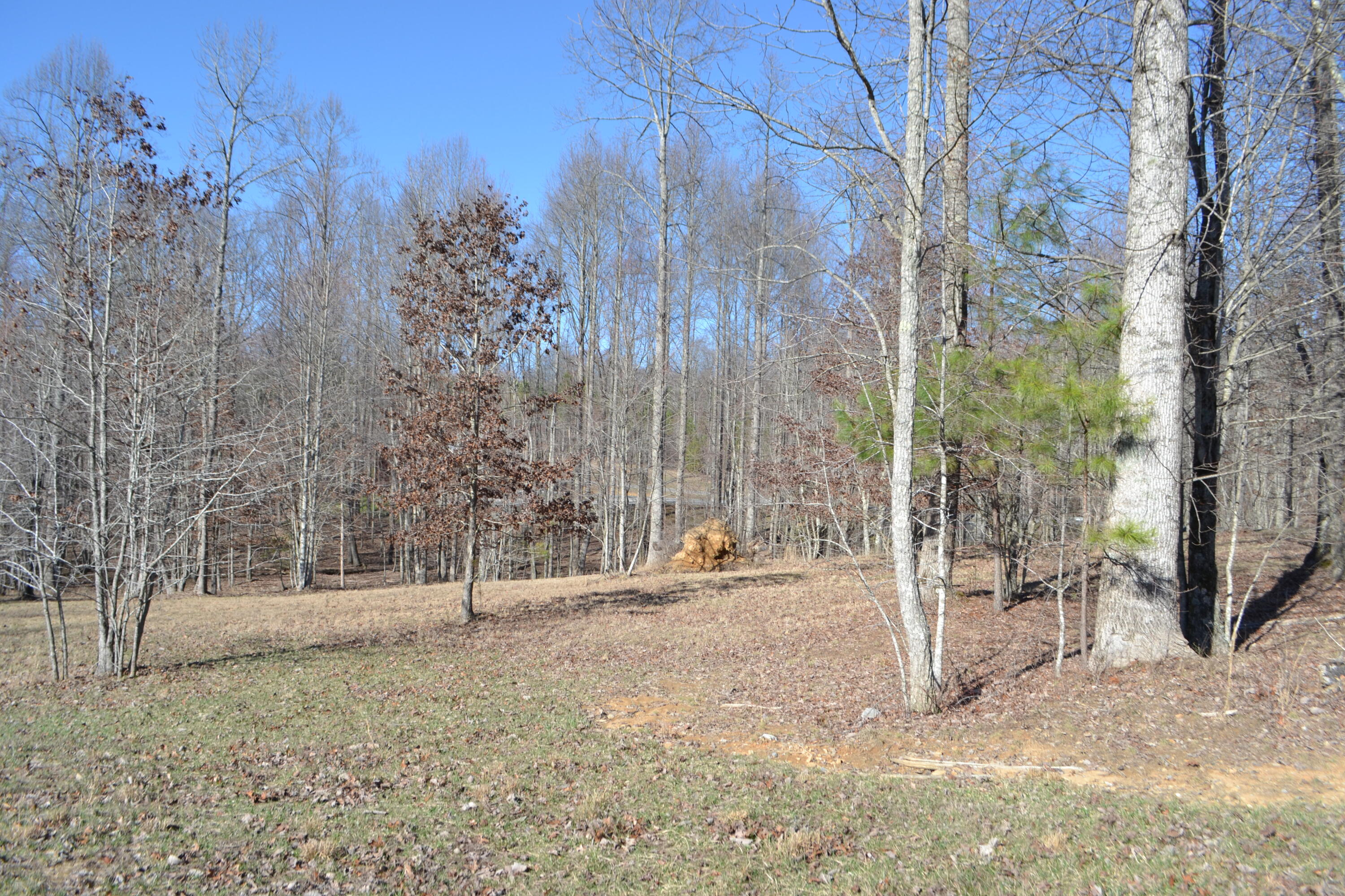 Chipmunk Court #LOT254, Jasper, Tennessee image 3