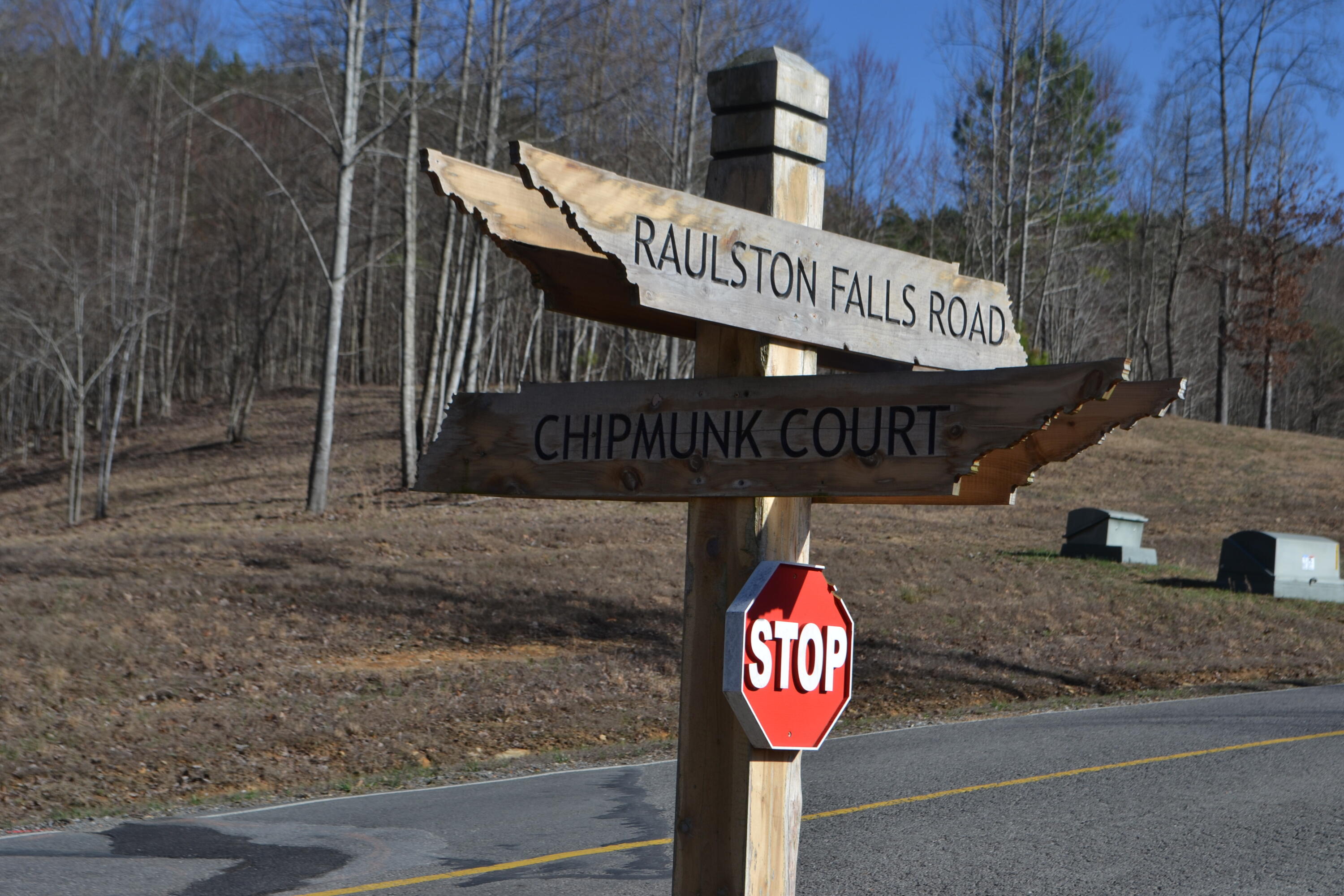 Chipmunk Court #LOT254, Jasper, Tennessee image 8