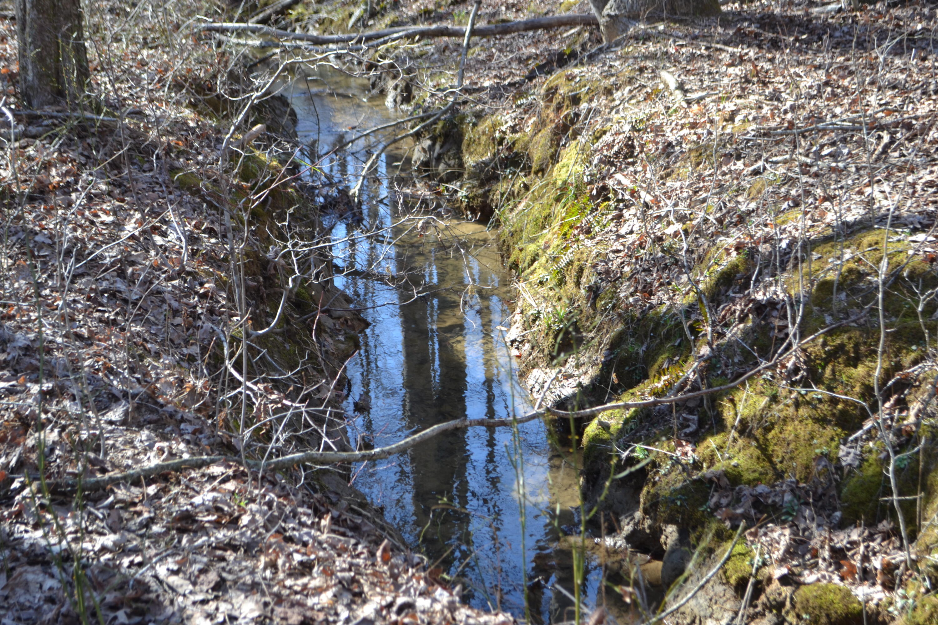 Chipmunk Court #LOT254, Jasper, Tennessee image 2