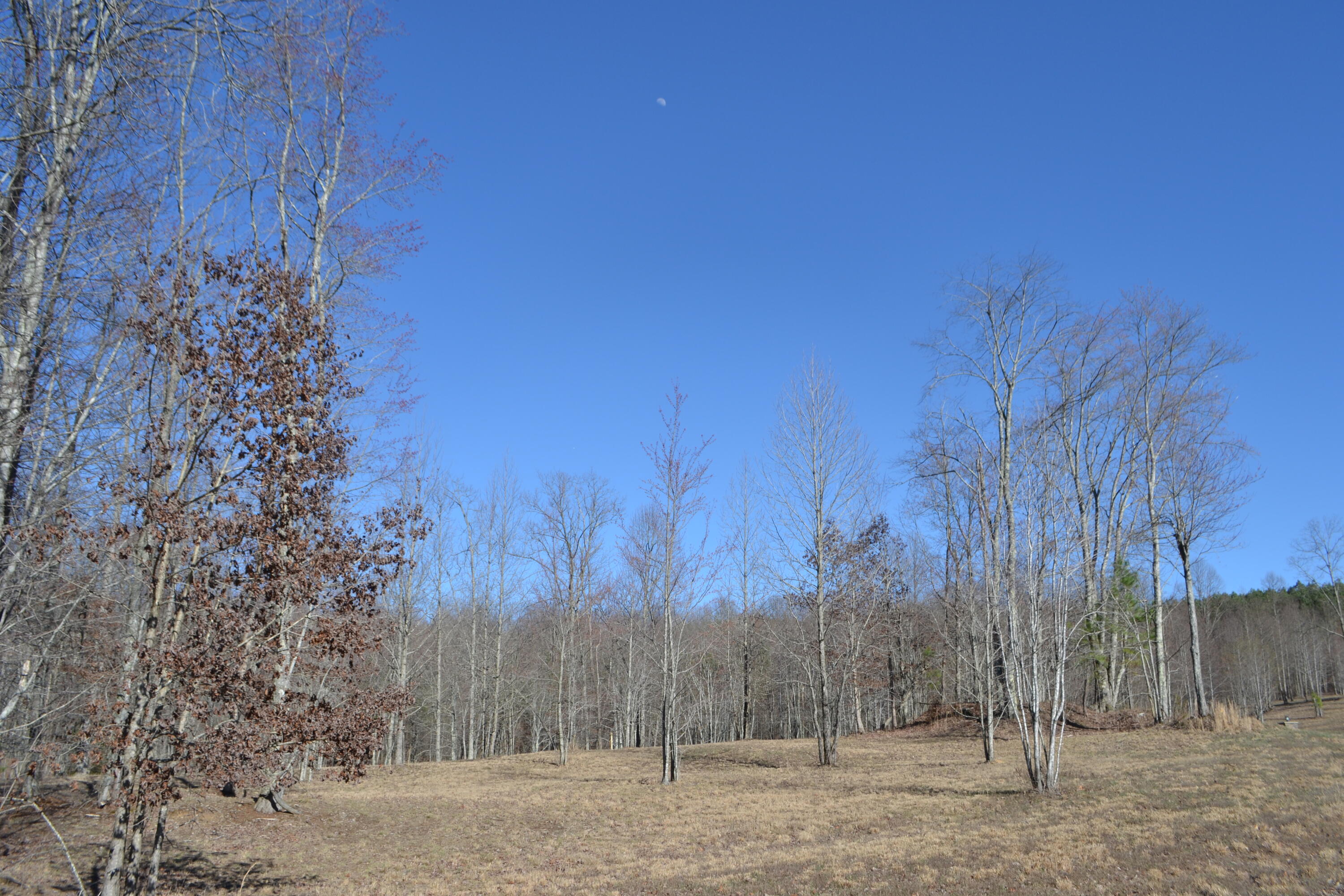 Chipmunk Court #LOT254, Jasper, Tennessee image 1