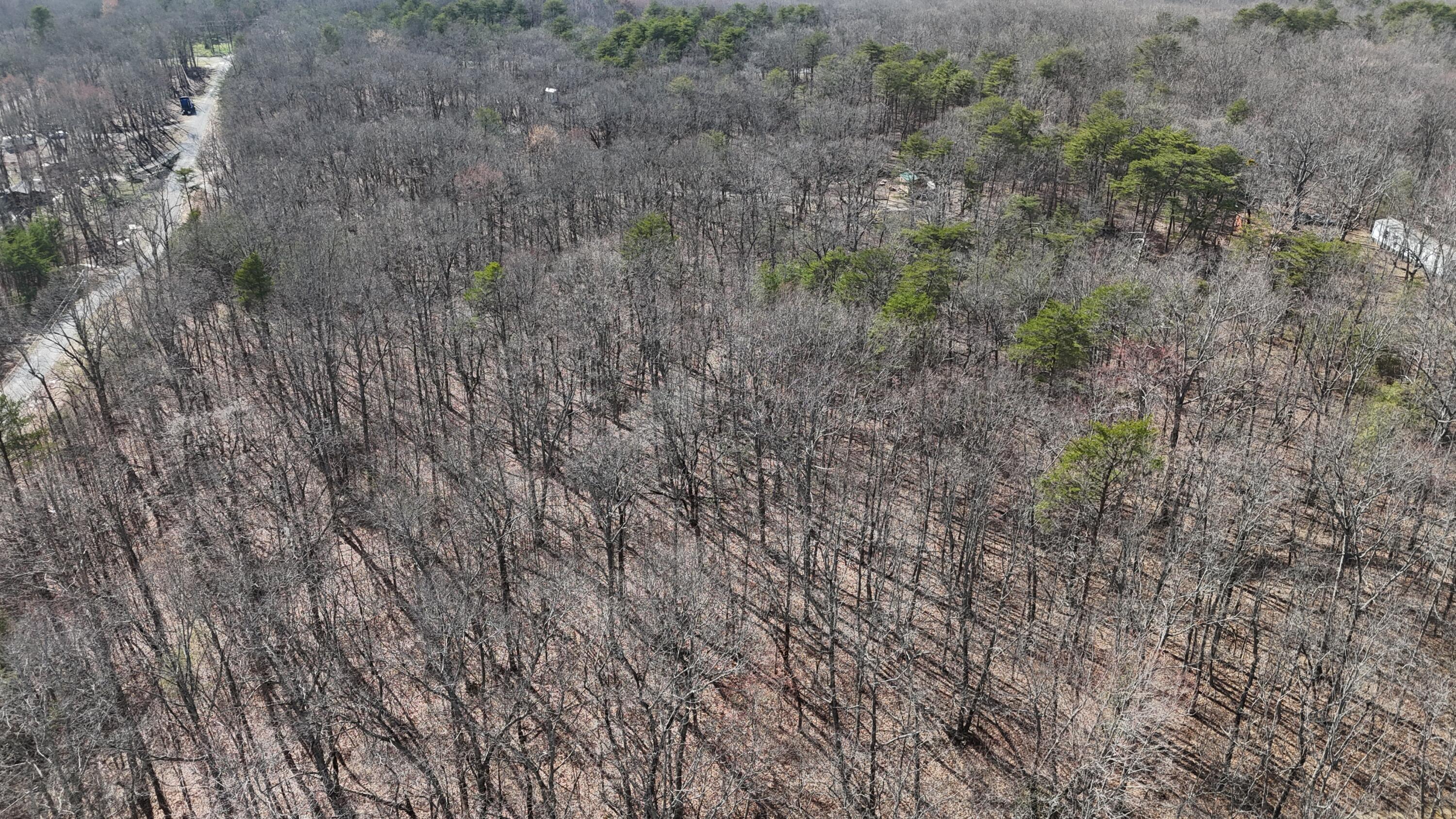Mountain Laurel Road, Pikeville, Tennessee image 9