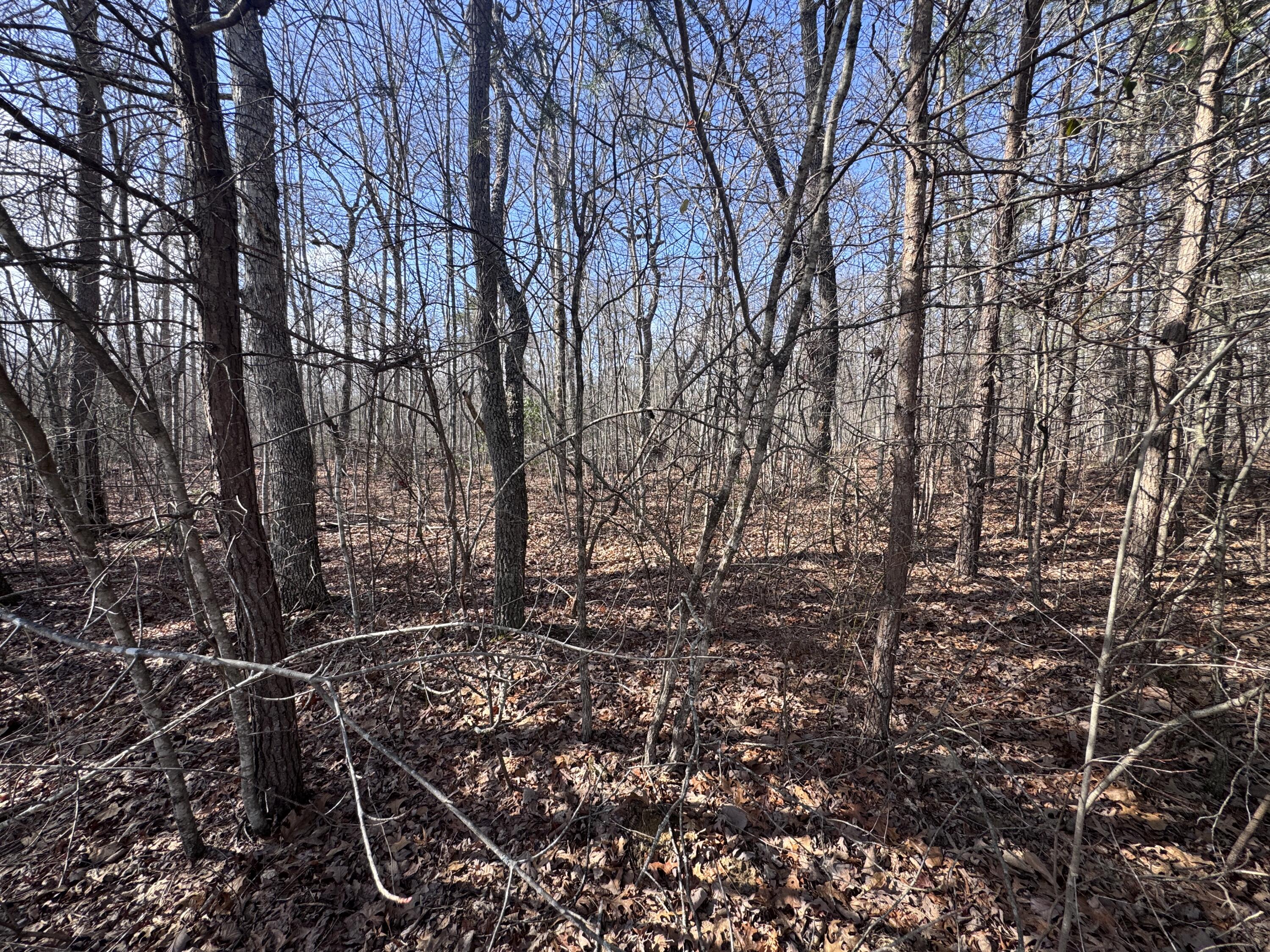 Mountain Laurel Road, Pikeville, Tennessee image 8