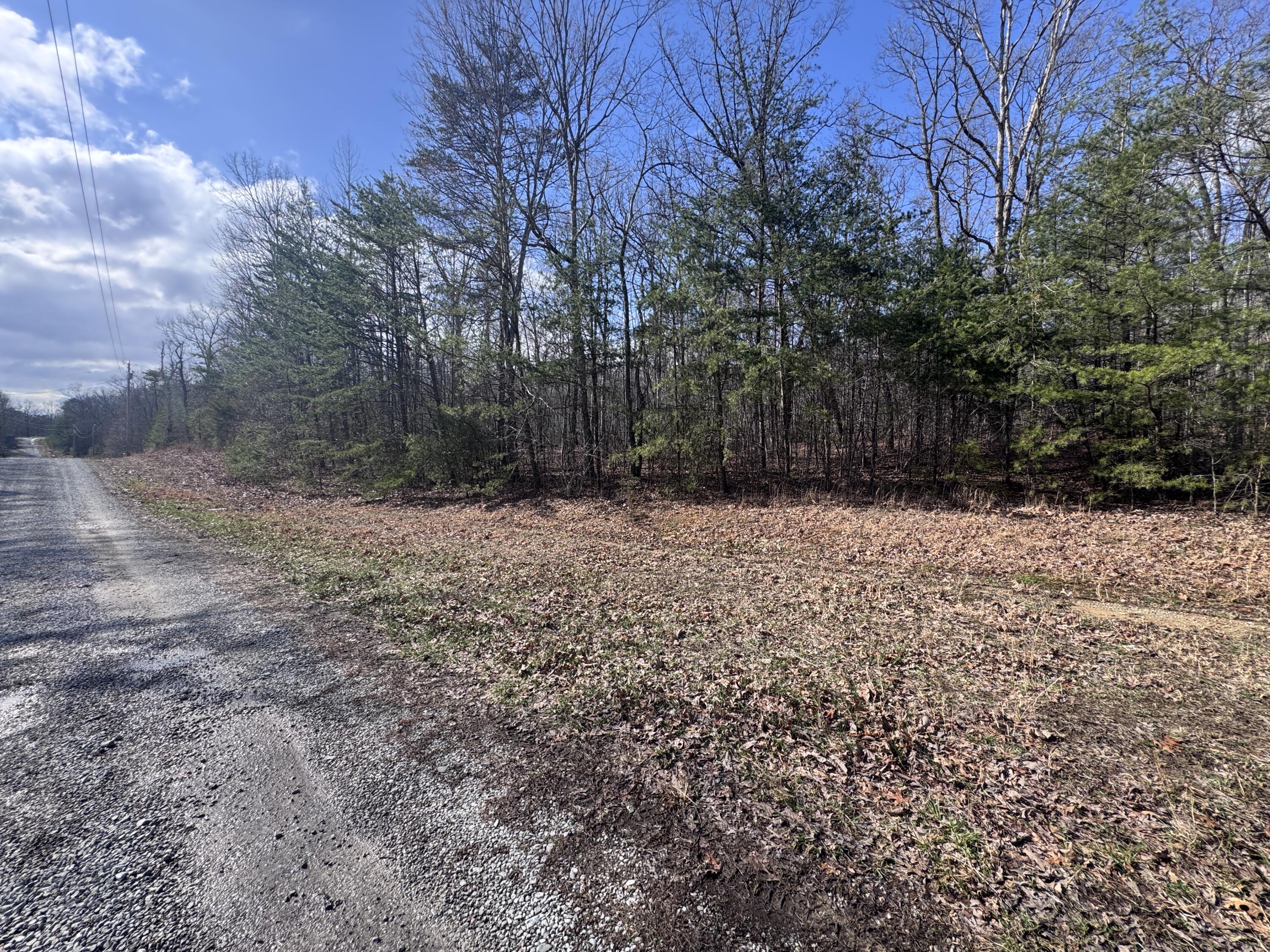 Mountain Laurel Road, Pikeville, Tennessee image 6