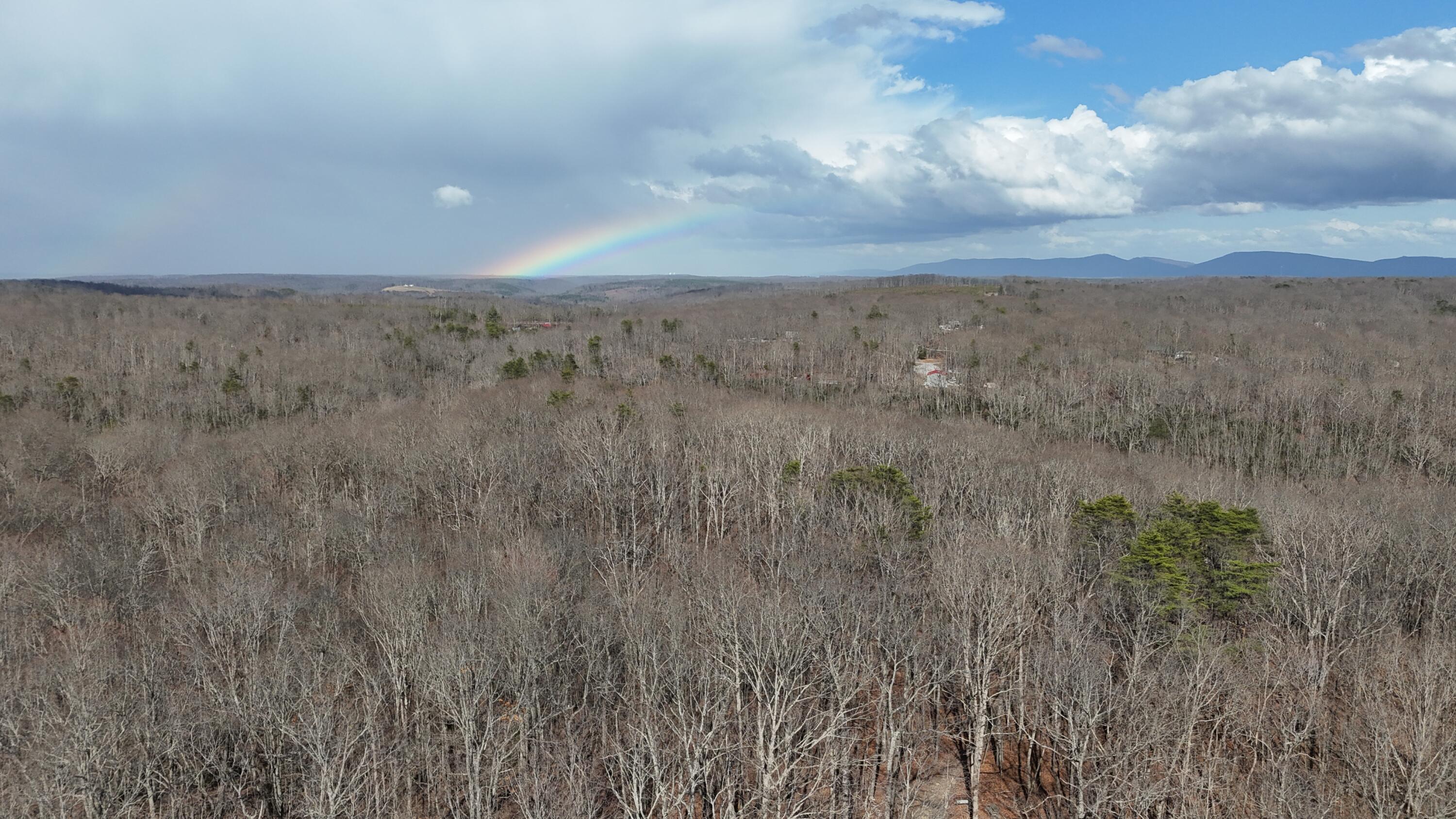 Mountain Laurel Road, Pikeville, Tennessee image 16