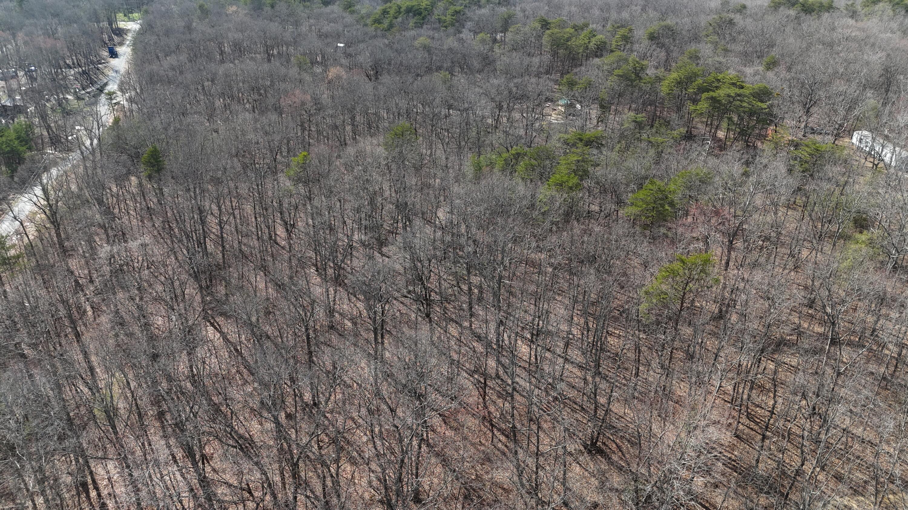 Mountain Laurel Road, Pikeville, Tennessee image 21