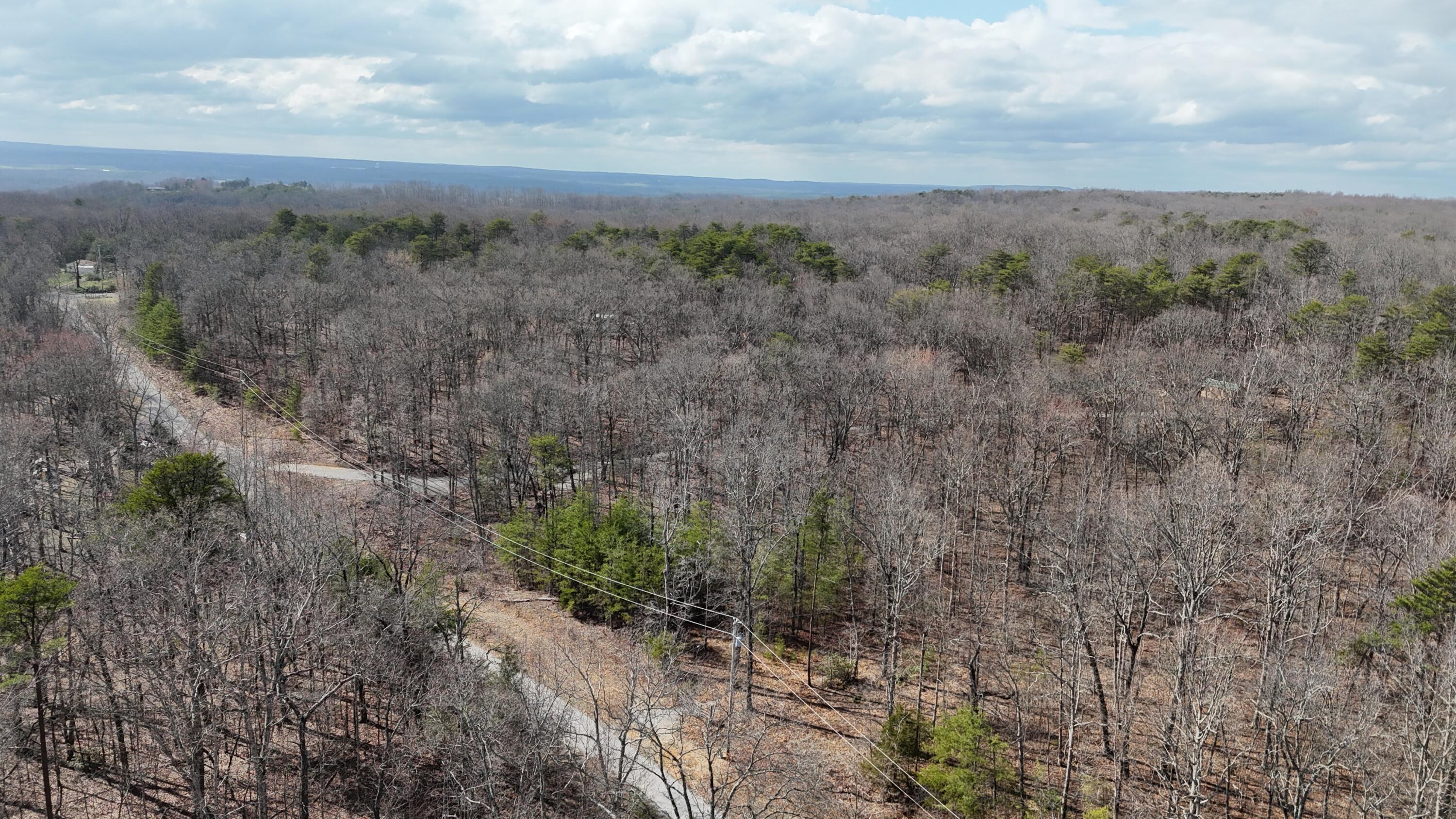 Mountain Laurel Road, Pikeville, Tennessee image 20