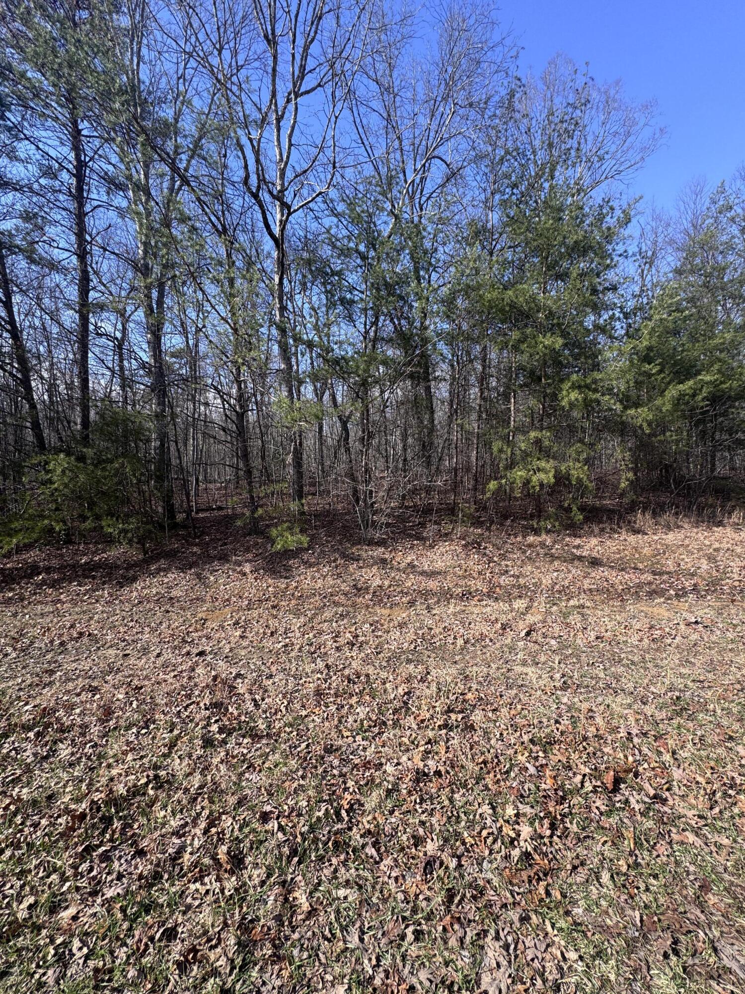 Mountain Laurel Road, Pikeville, Tennessee image 7