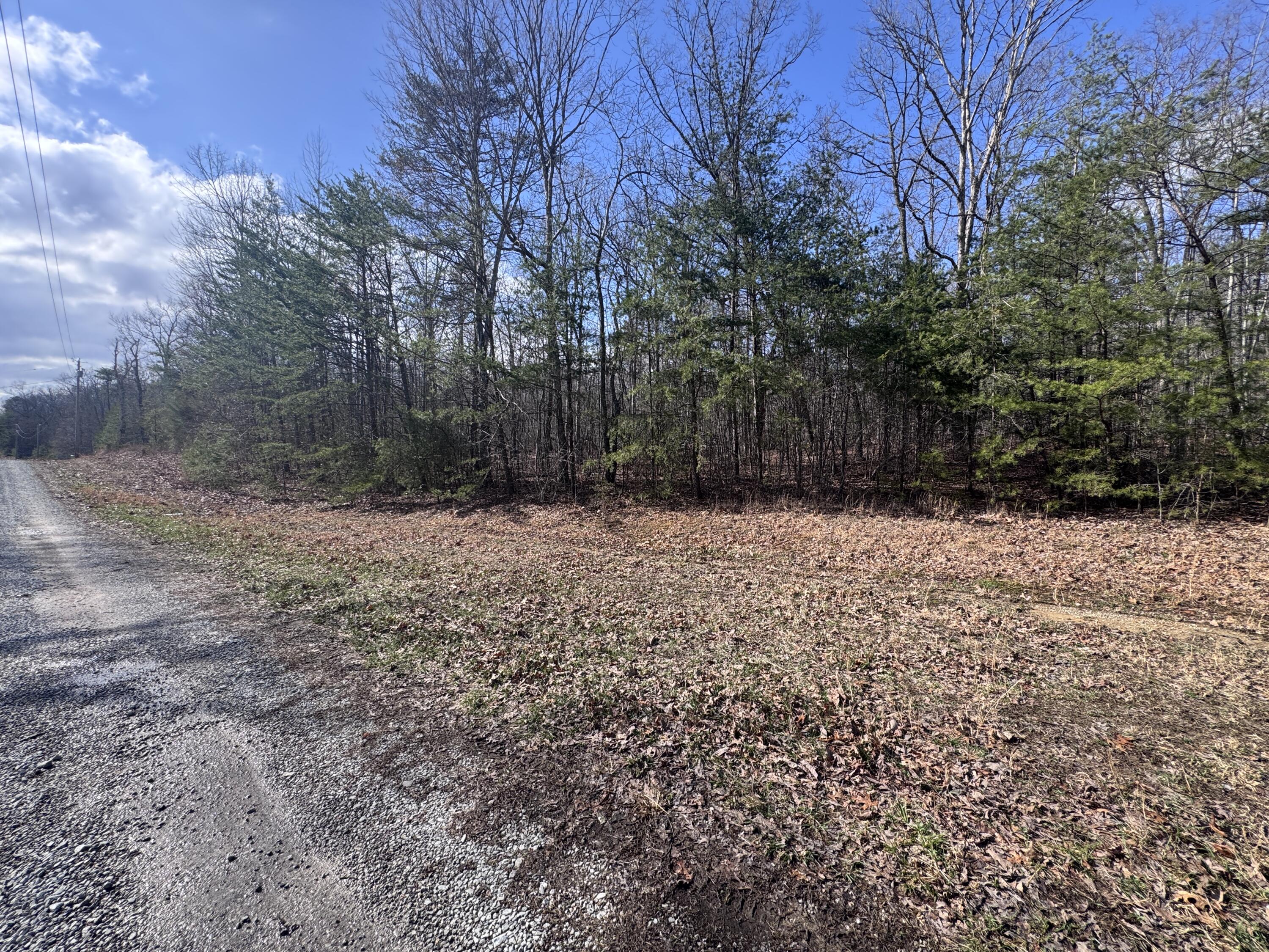 Mountain Laurel Road, Pikeville, Tennessee image 17