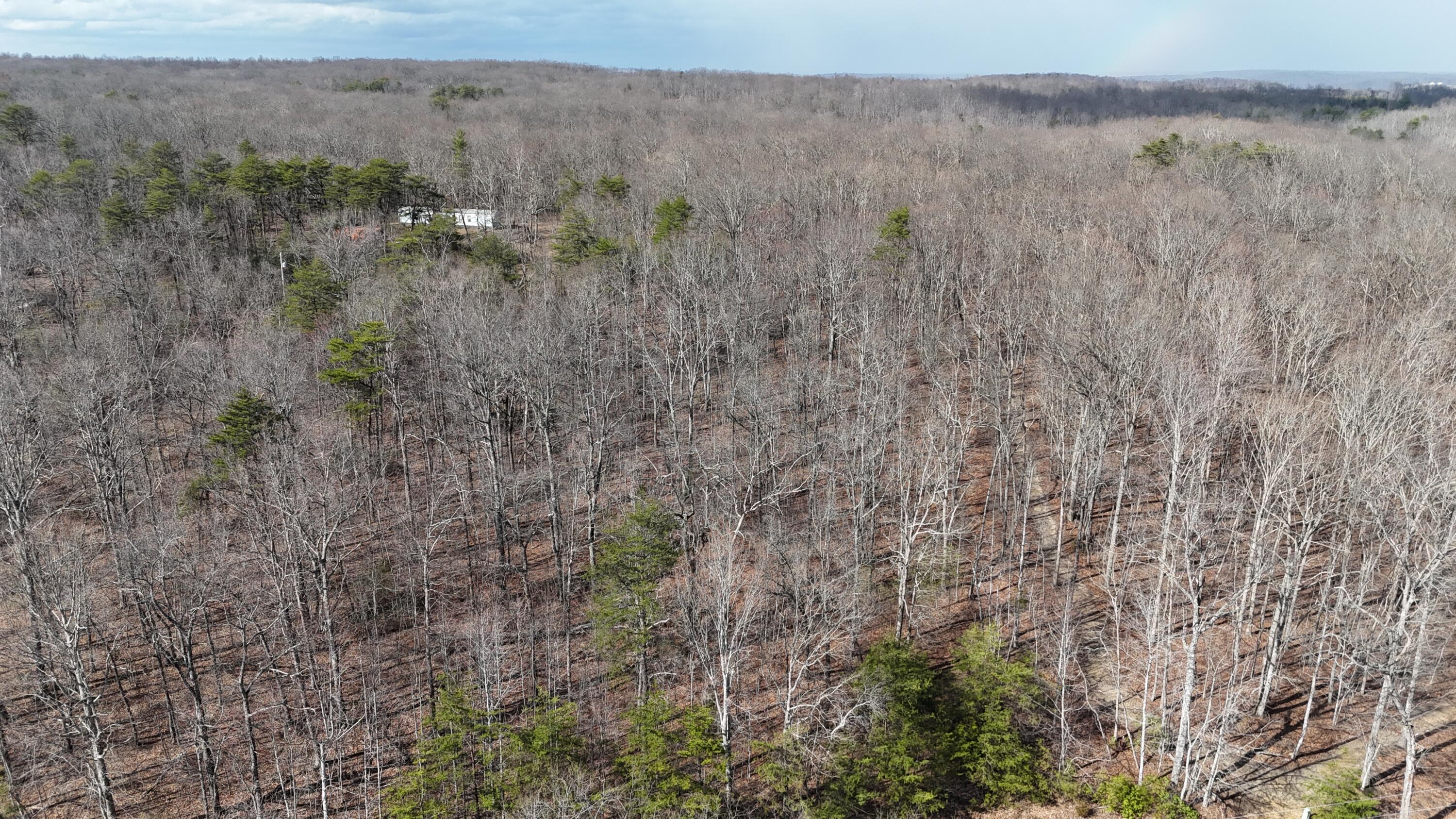 Mountain Laurel Road, Pikeville, Tennessee image 18