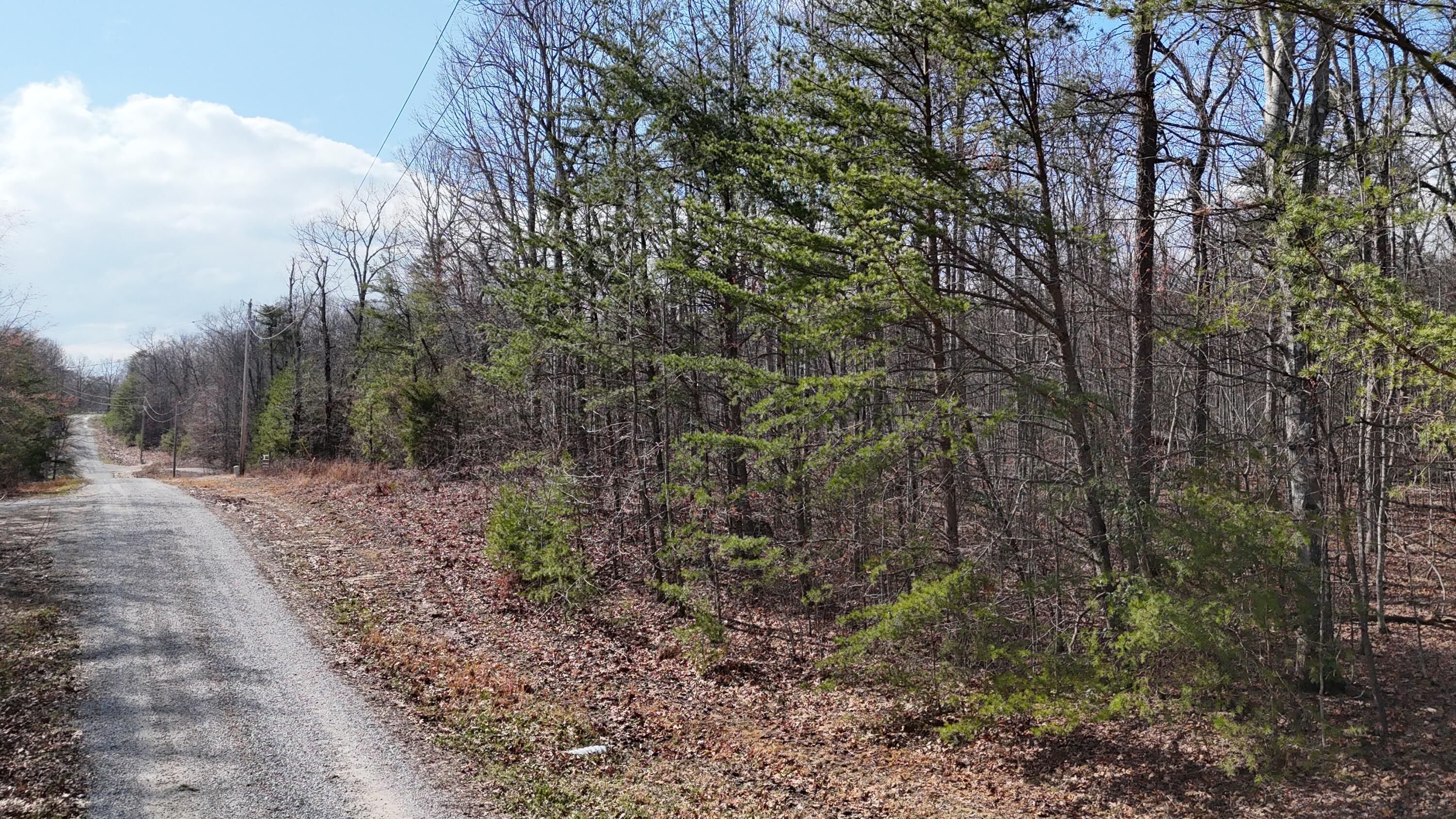 Mountain Laurel Road, Pikeville, Tennessee image 4