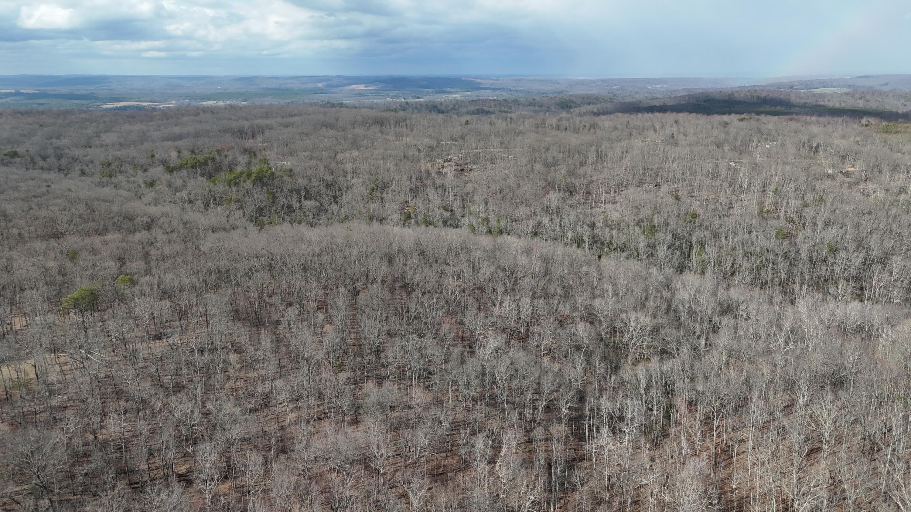 Mountain Laurel Road, Pikeville, Tennessee image 10