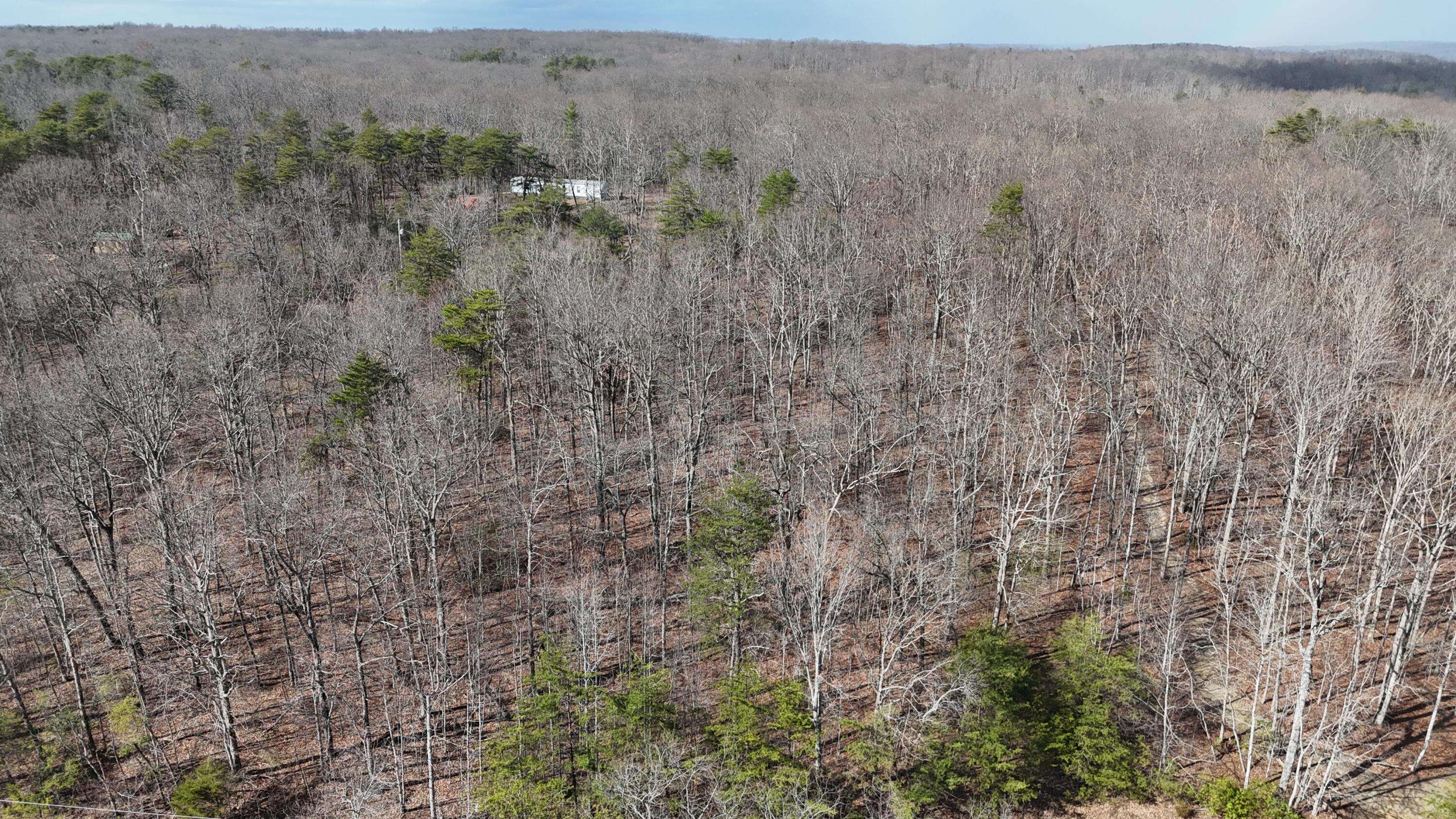 Mountain Laurel Road, Pikeville, Tennessee image 19