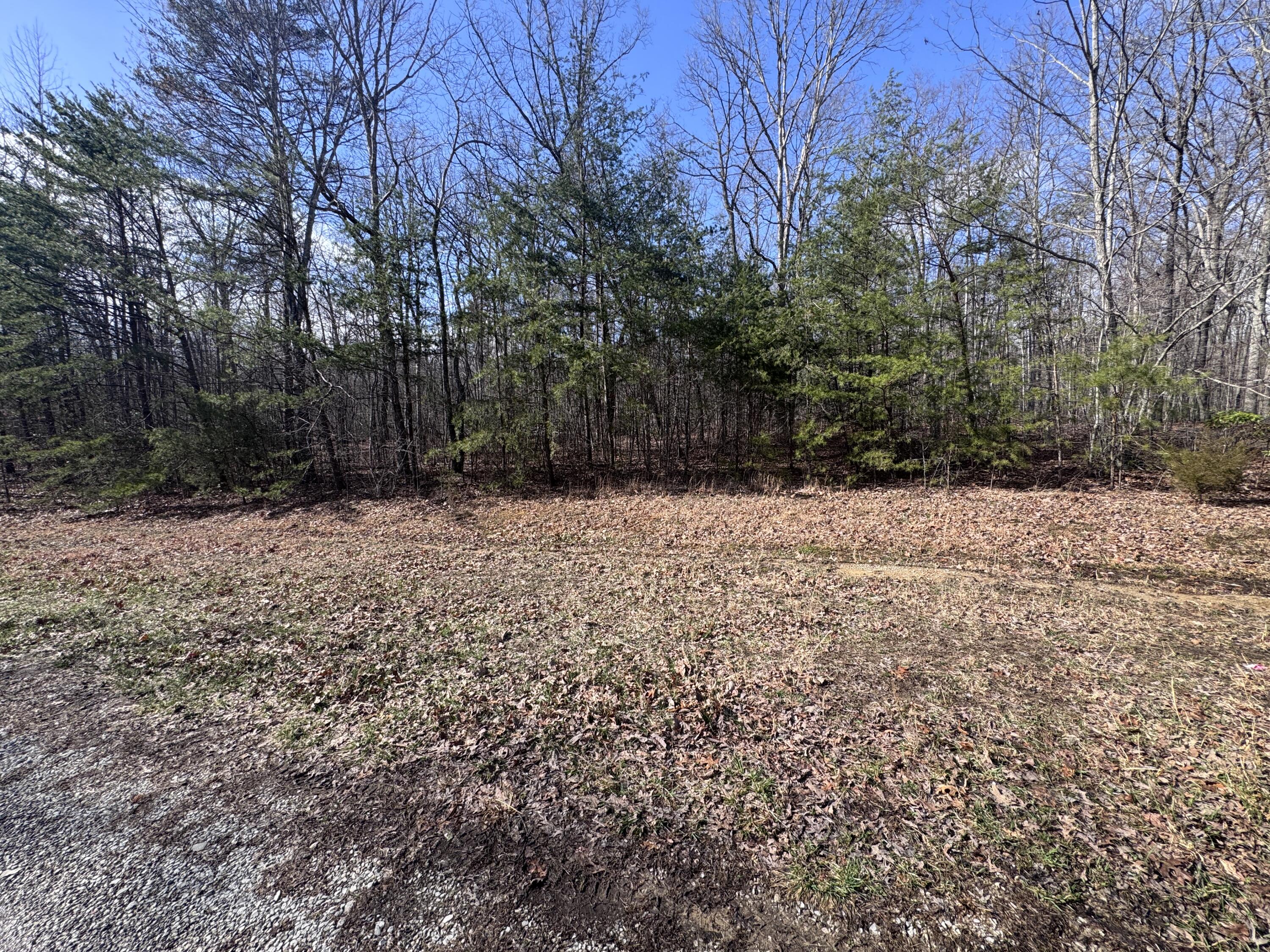 Mountain Laurel Road, Pikeville, Tennessee image 1