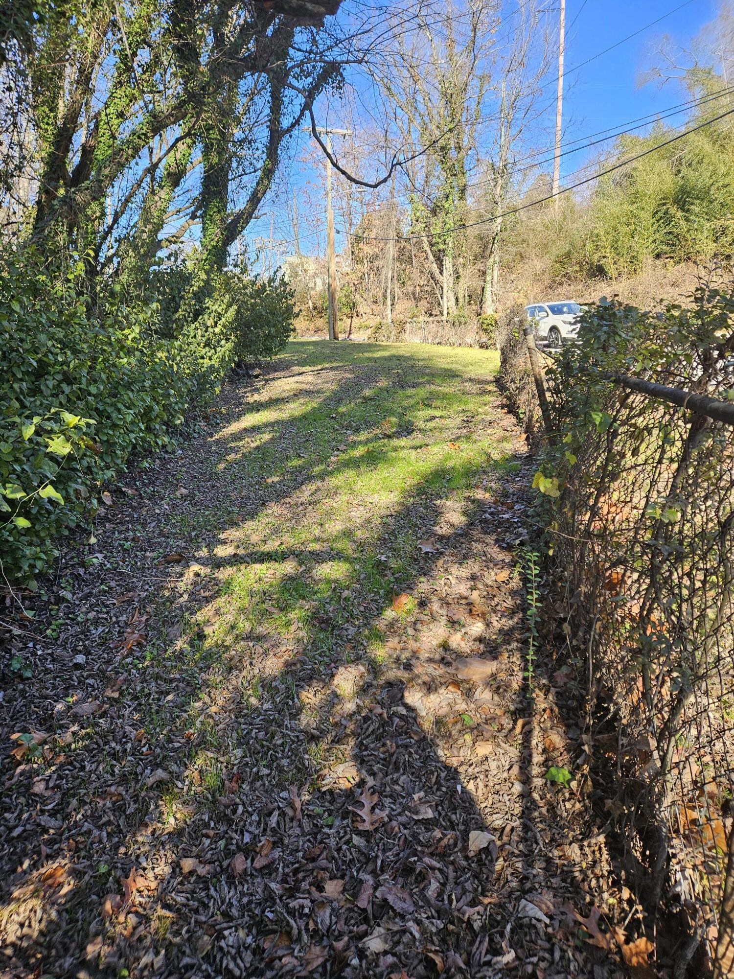 Navajo Drive, Chattanooga, Tennessee image 6