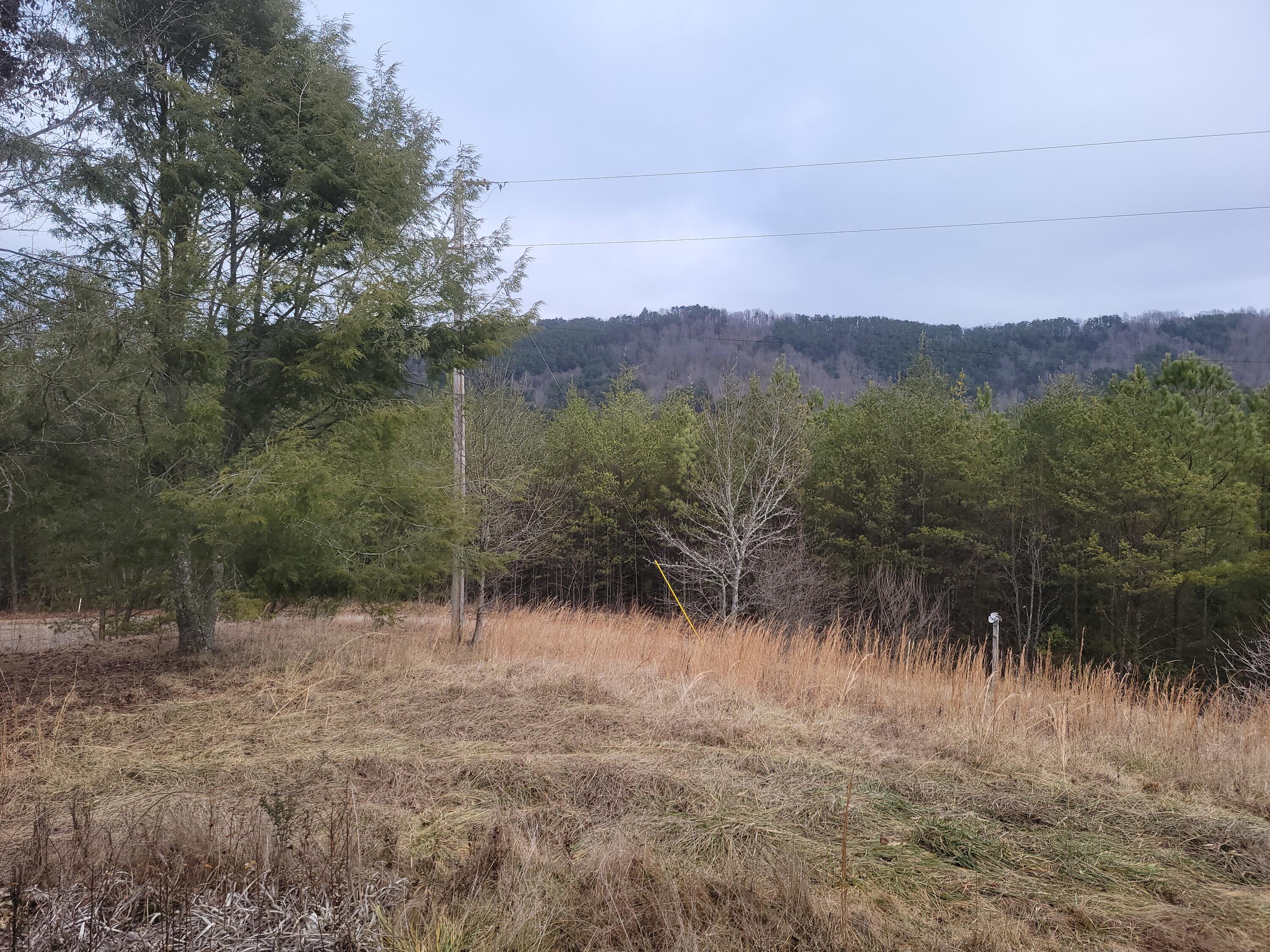 138 Singo Drive, Turtletown, Tennessee image 13