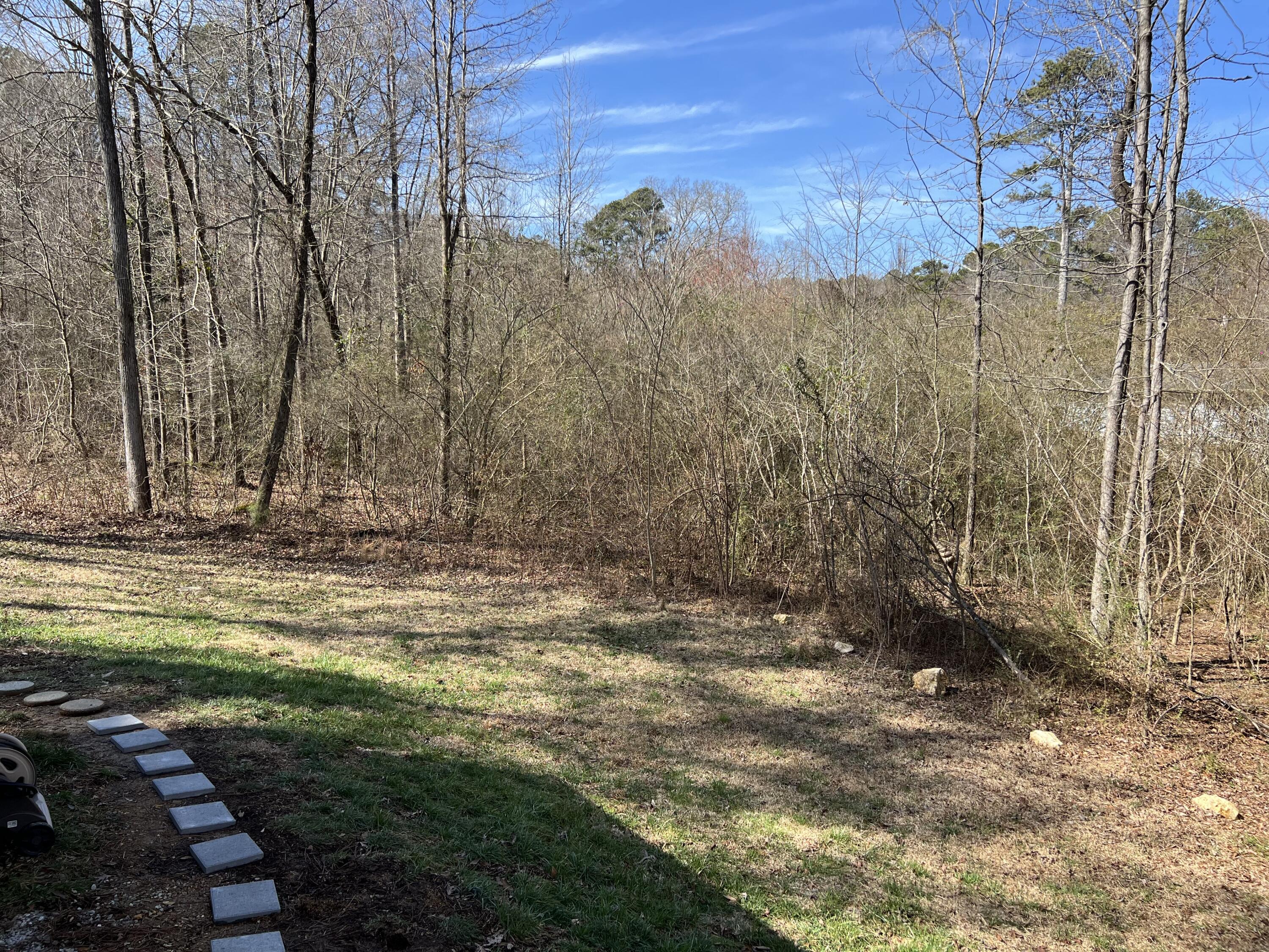 102 Gordon Drive, Chickamauga, Georgia image 5
