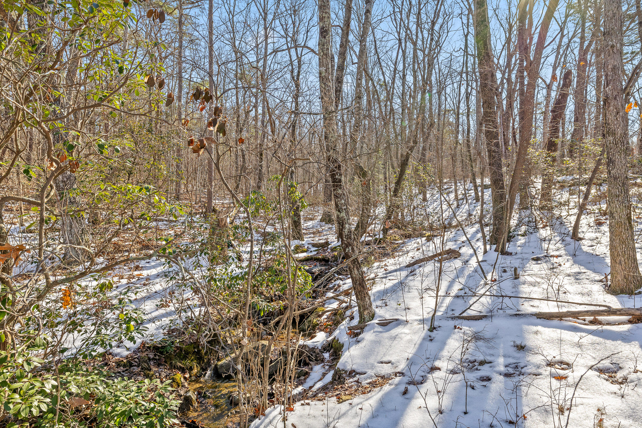 Highland Forest Circle #LOT 9, Menlo, Georgia image 45