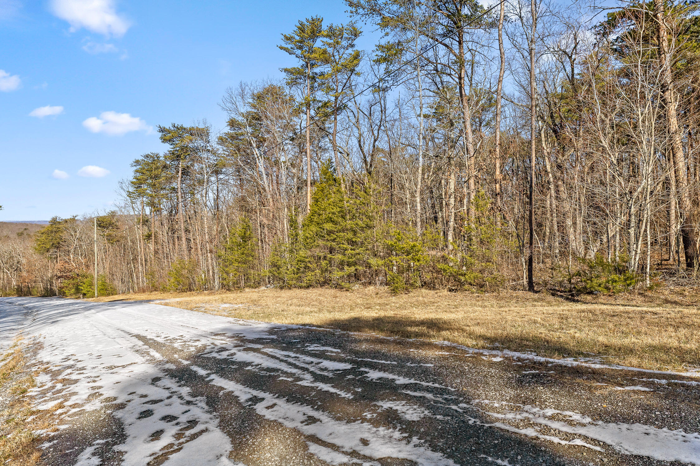 Highland Forest Circle #LOT 9, Menlo, Georgia image 49