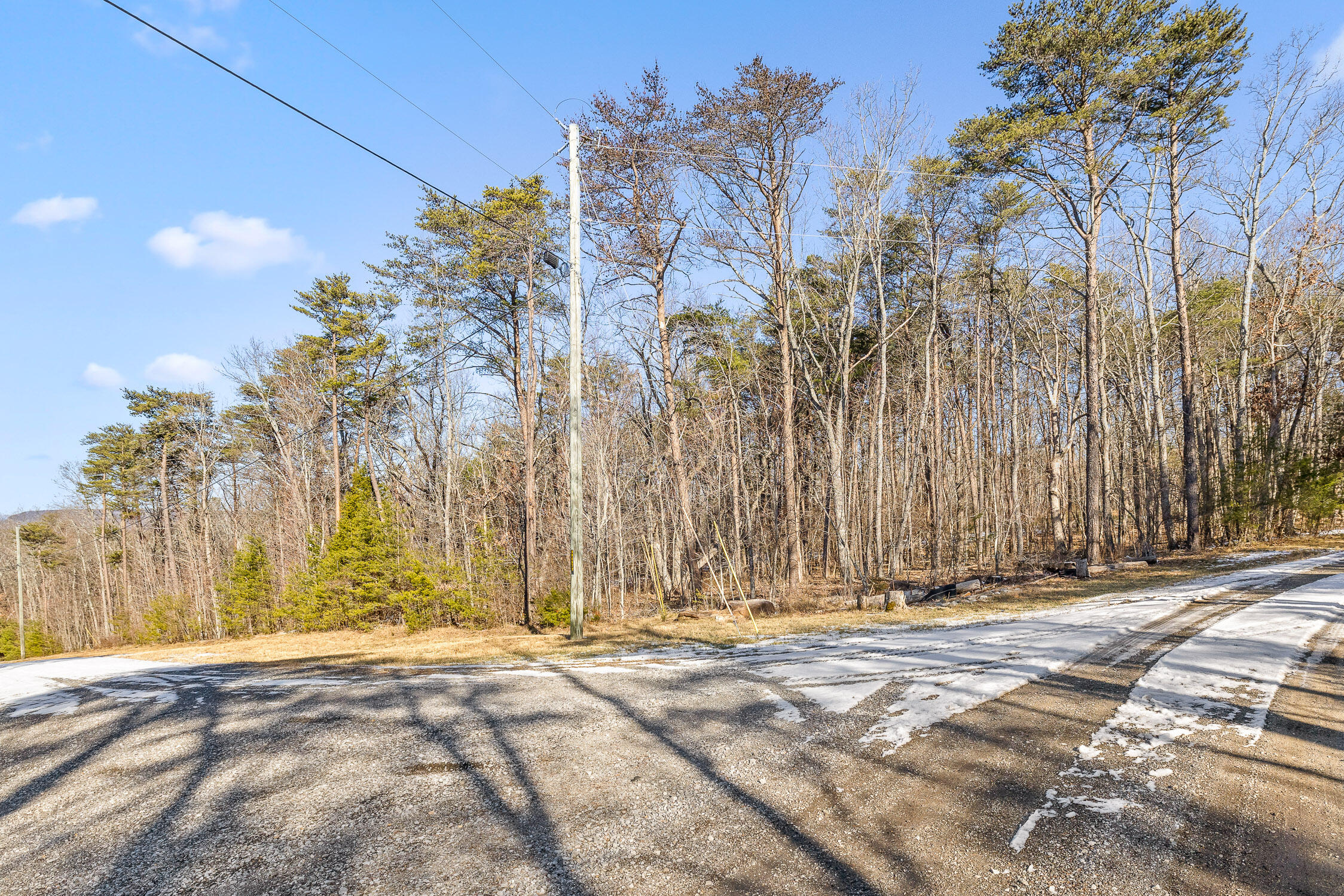 Highland Forest Circle #LOT 9, Menlo, Georgia image 48