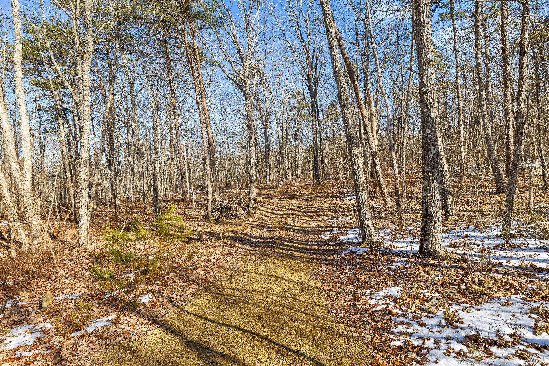 Highland Forest Circle #LOT 9, Menlo, Georgia image 4