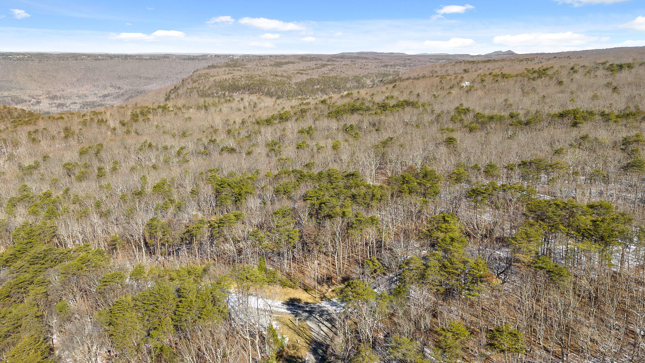 Highland Forest Circle #LOT 9, Menlo, Georgia image 35