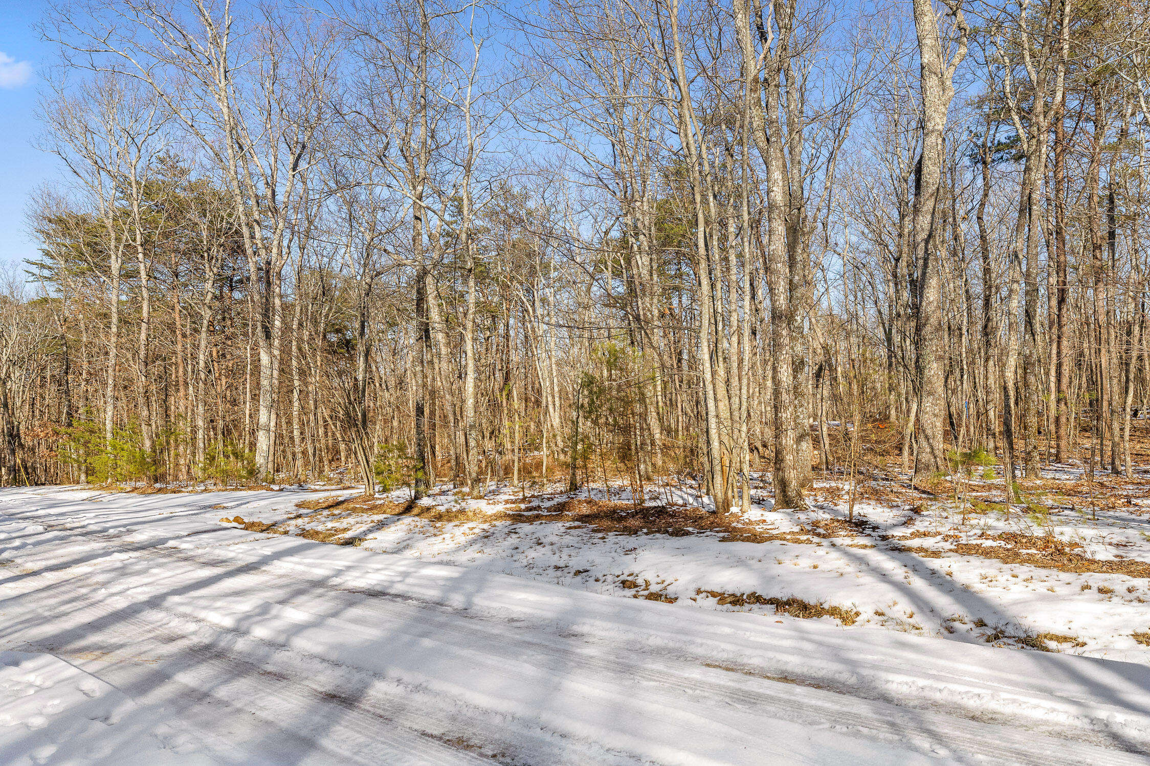 Highland Forest Circle #LOT 9, Menlo, Georgia image 39
