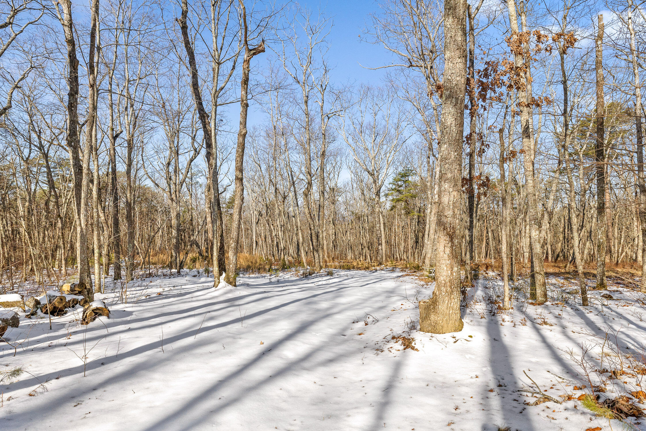 Highland Forest Circle #LOT 9, Menlo, Georgia image 41