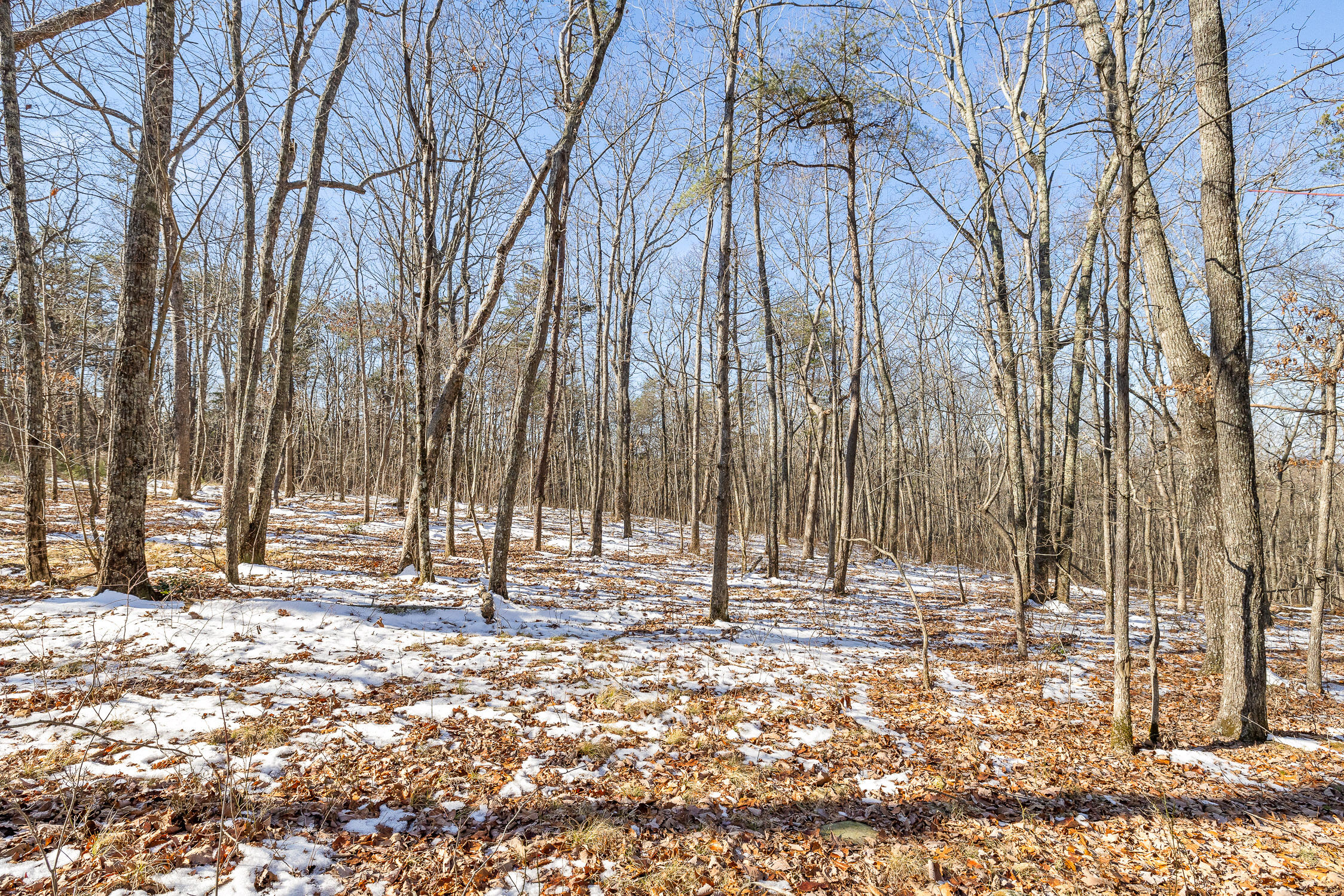 Highland Forest Circle #LOT 9, Menlo, Georgia image 13
