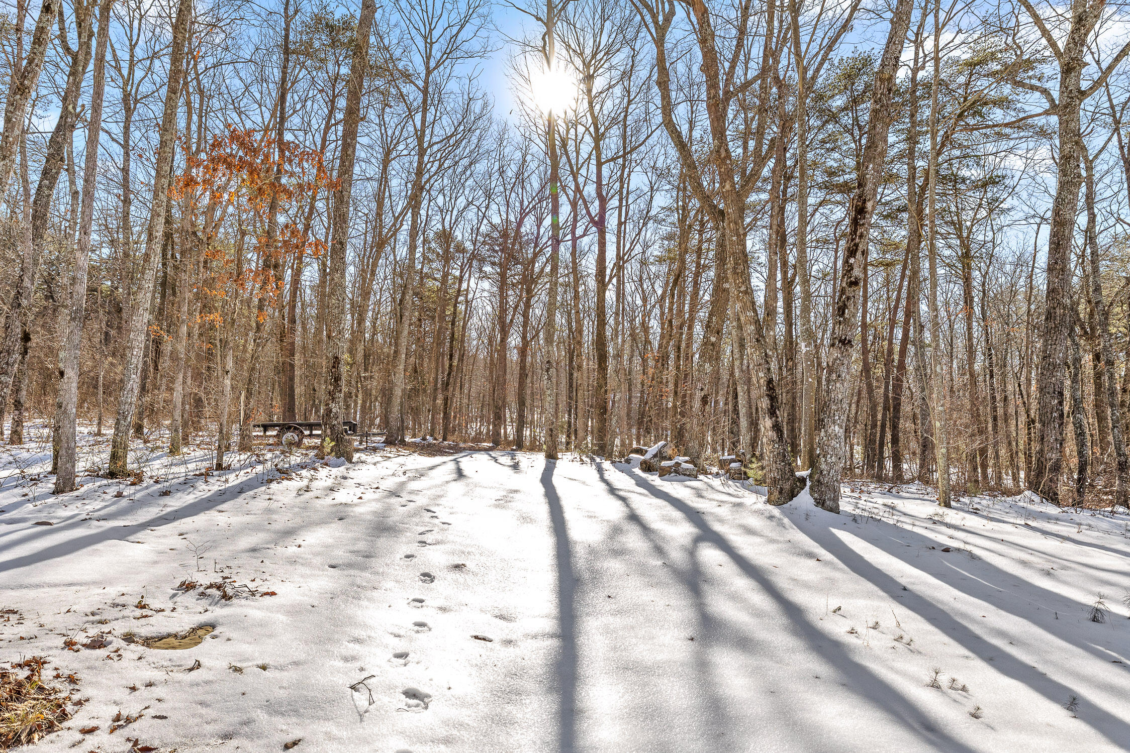 Highland Forest Circle #LOT 9, Menlo, Georgia image 9