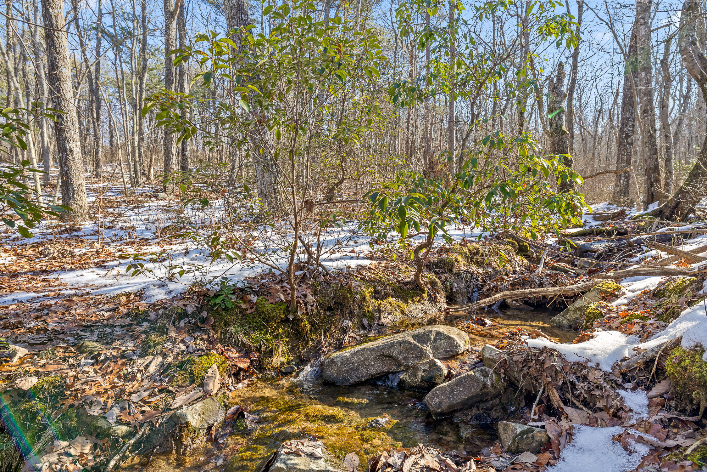 Highland Forest Circle #LOT 9, Menlo, Georgia image 10