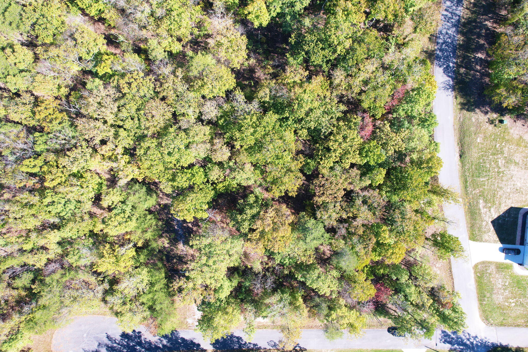 Timber View Road, Pikeville, Tennessee image 3