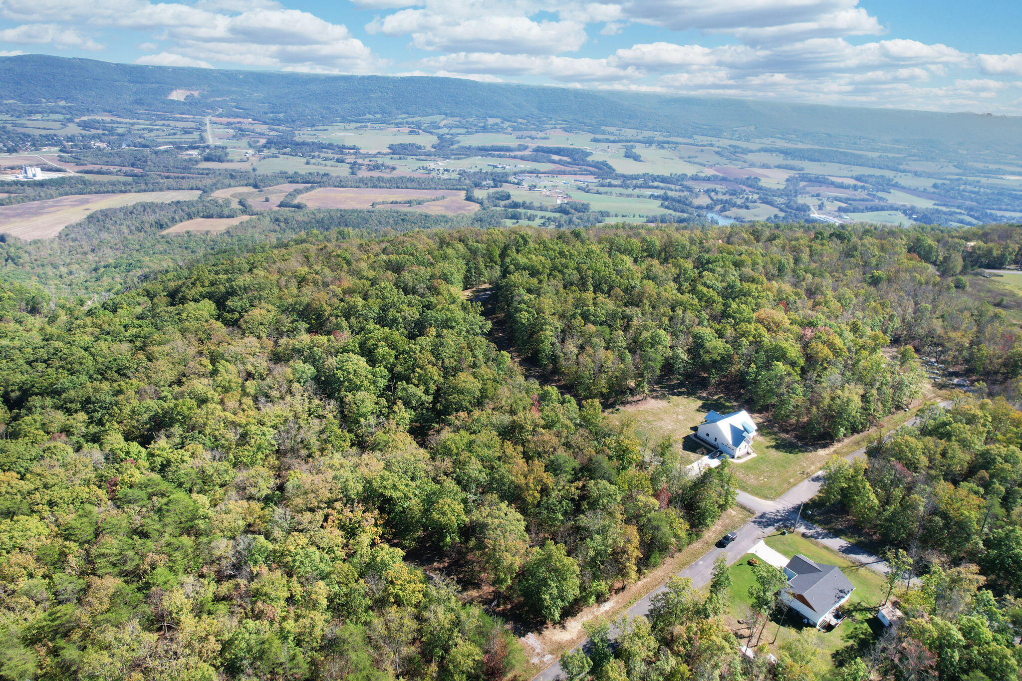 Timber View Road, Pikeville, Tennessee image 6