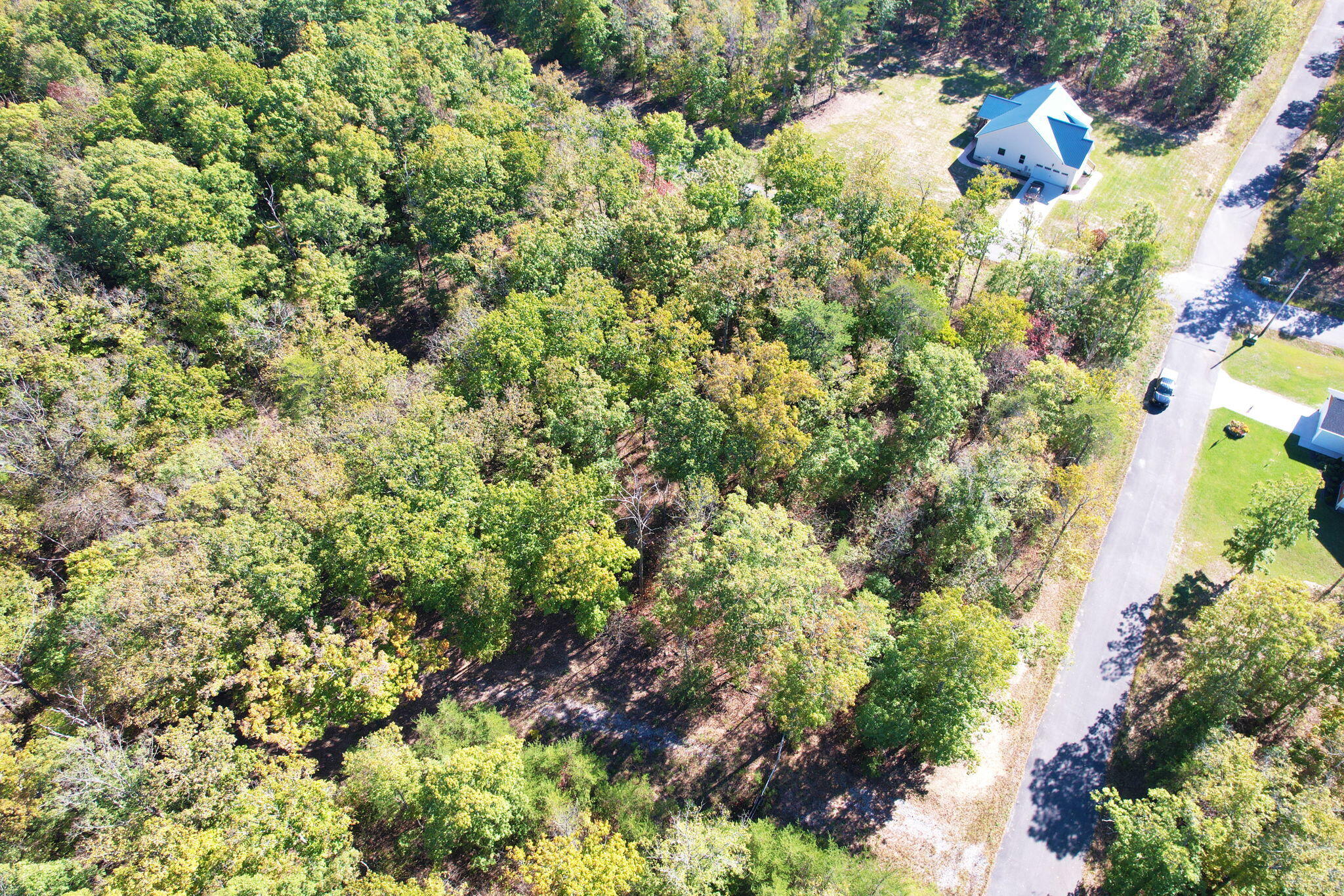 Timber View Road, Pikeville, Tennessee image 9