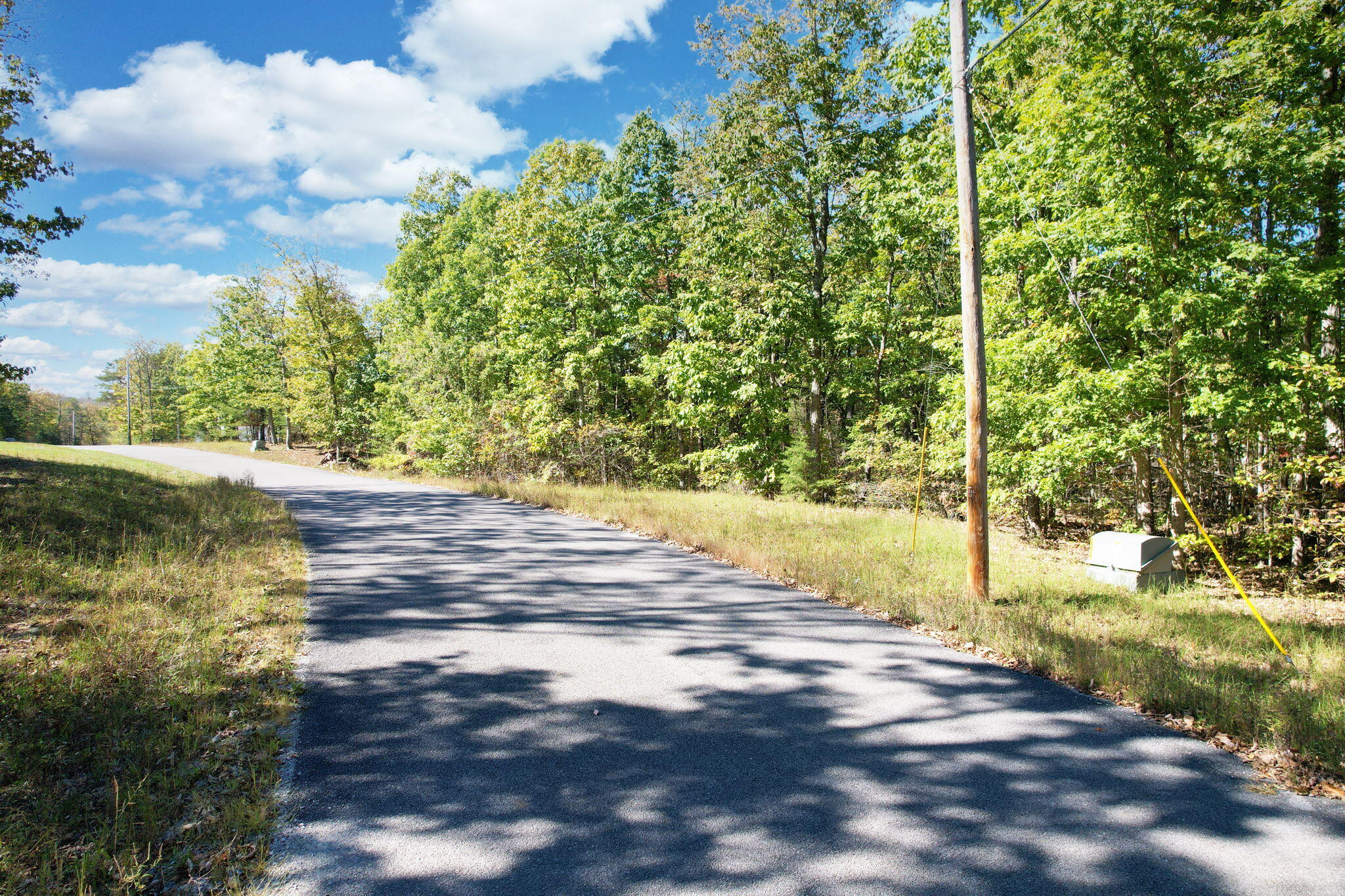 Timber View Road, Pikeville, Tennessee image 1