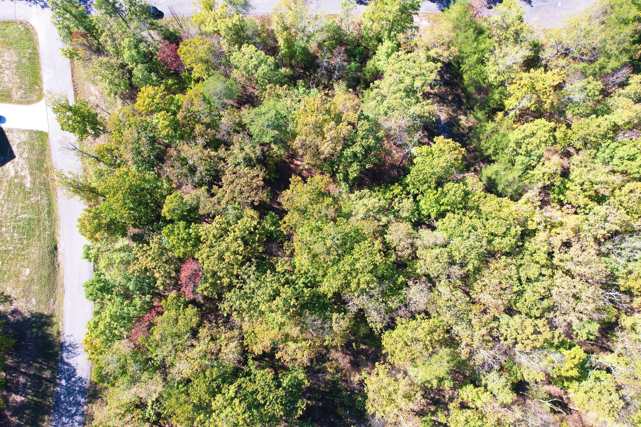 Timber View Road, Pikeville, Tennessee image 2