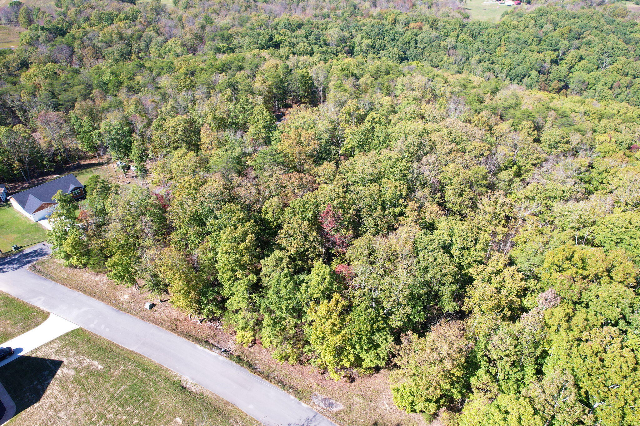 Timber View Road, Pikeville, Tennessee image 10