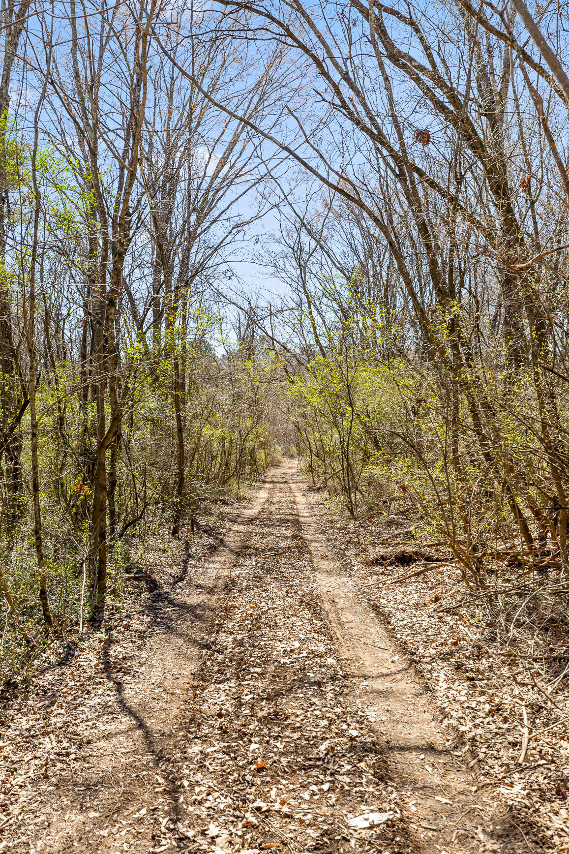 5343 Usher Drive, Chattanooga, Tennessee image 18