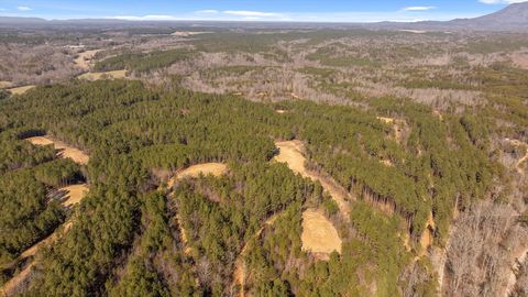 Tiny photo for Tract 3 Conniston Road, Chatsworth, GA 30705 (MLS # 1528011)