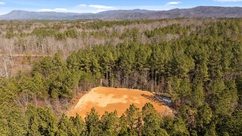 Tiny photo for Tract 3 Conniston Road, Chatsworth, GA 30705 (MLS # 1528011)