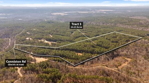 Photo of Tract 3 Conniston Road, Chatsworth, GA 30705 (MLS # 1528011)