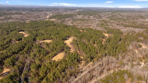 Tiny photo for Tract 3 Conniston Road, Chatsworth, GA 30705 (MLS # 1528011)