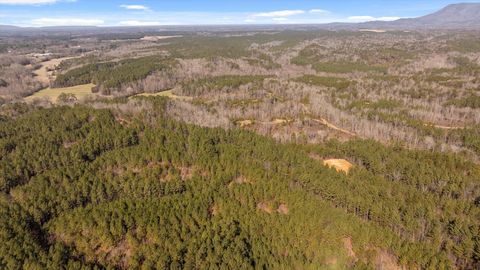 Tiny photo for Tract 3 Conniston Road, Chatsworth, GA 30705 (MLS # 1528011)